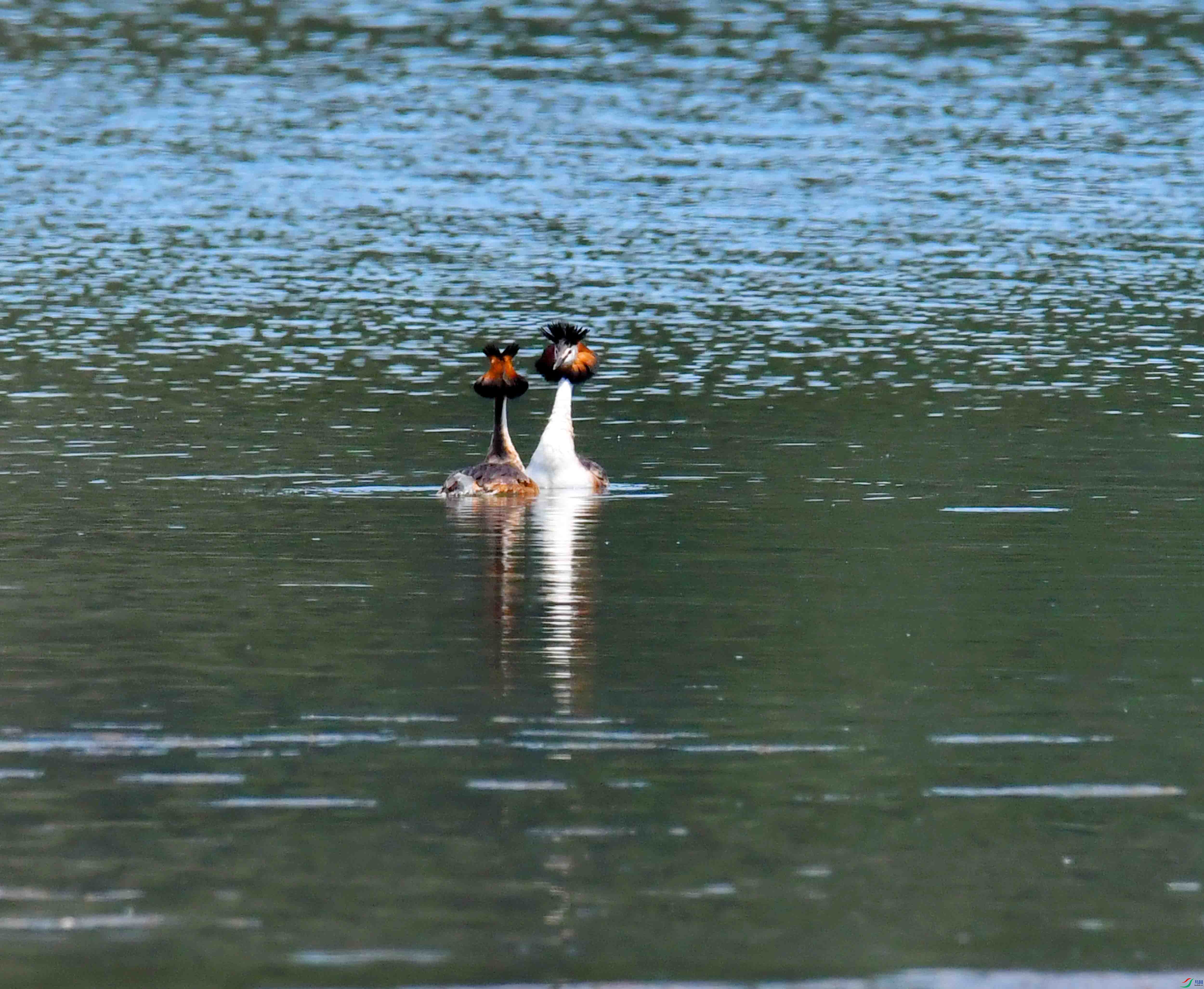 DSC_6478.JPG