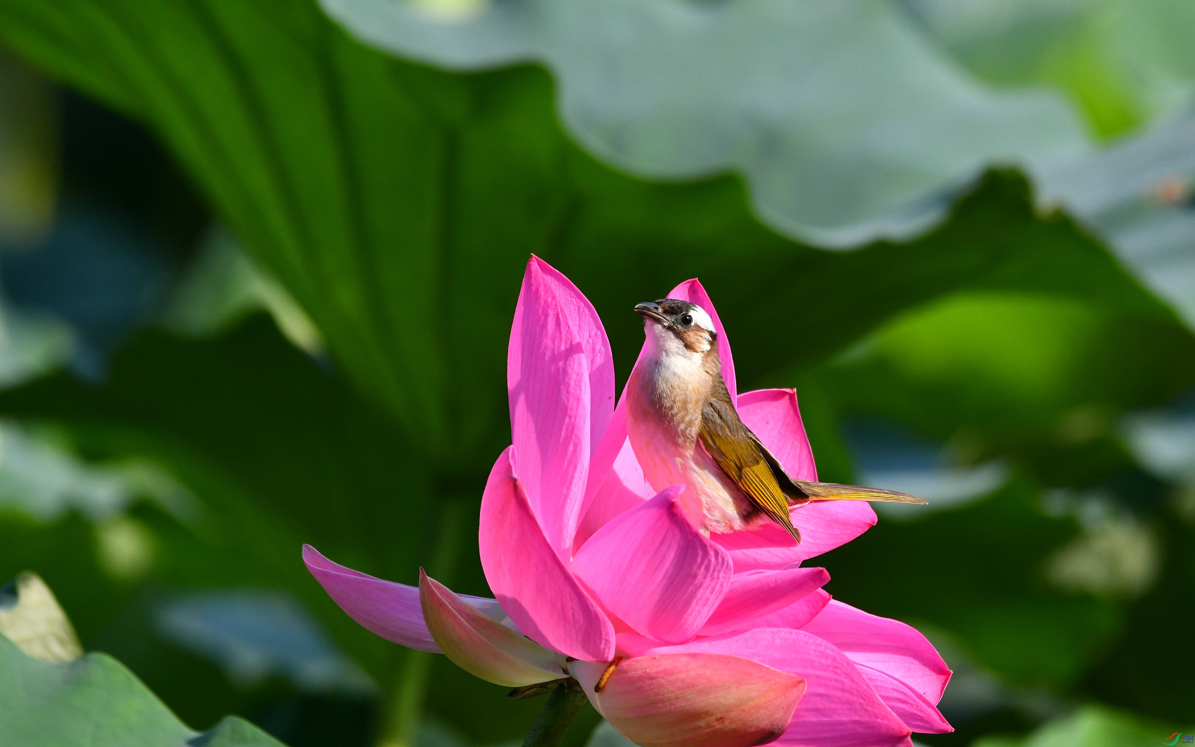 DSC_1677.JPG
