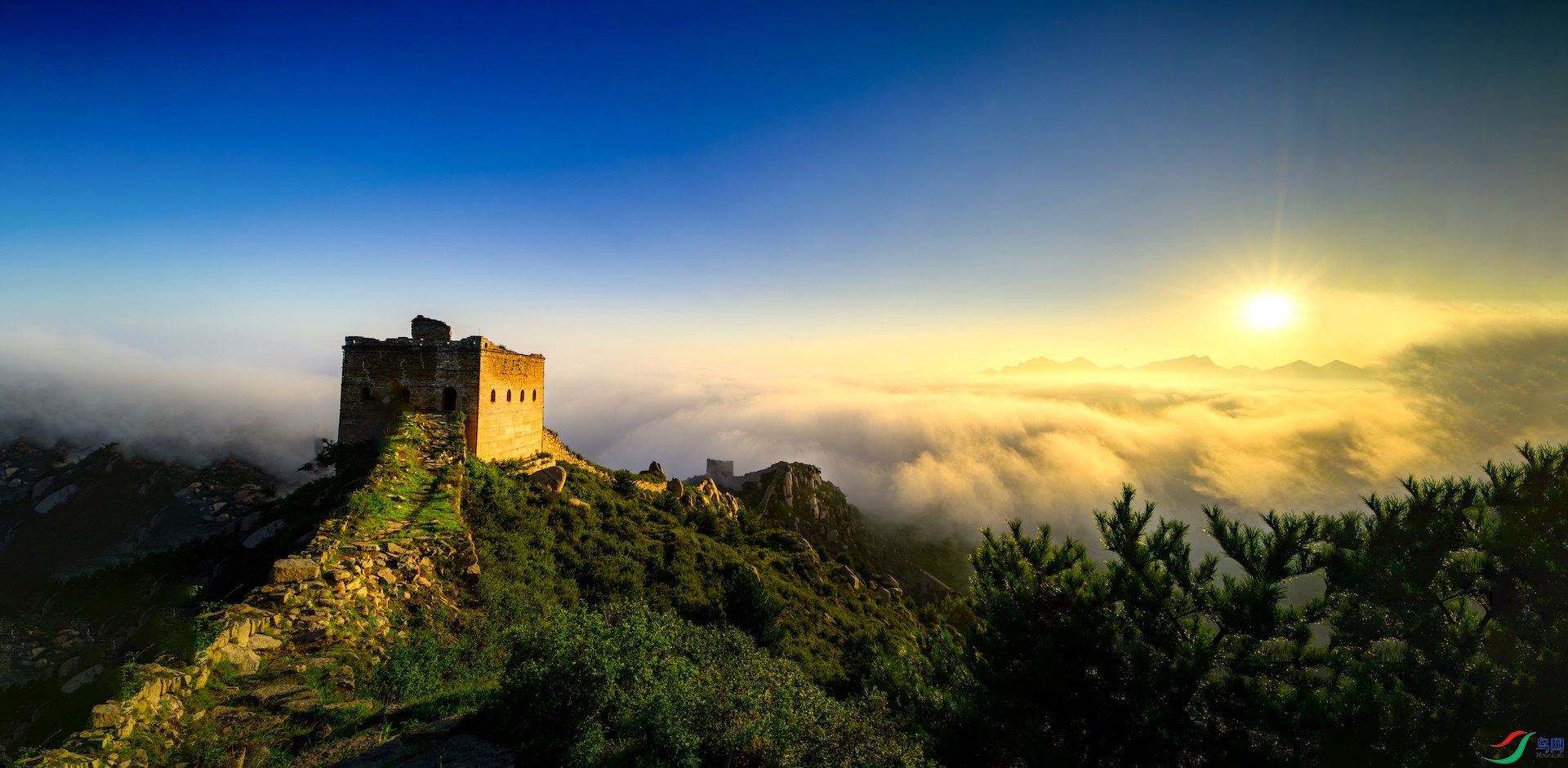 1_XXL1286-����ǿ-NR ���� 2 2.jpeg