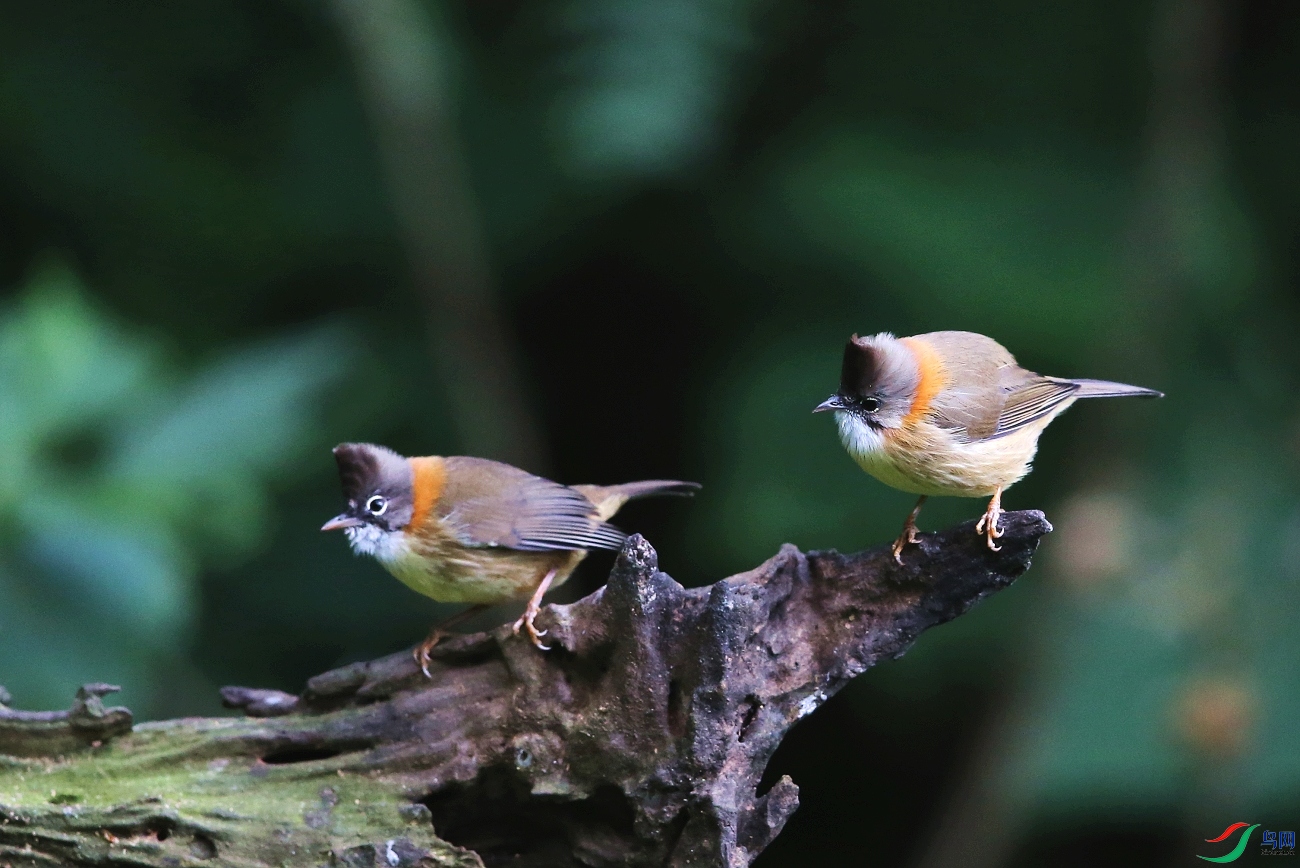 ���� IMGL0841.JPG