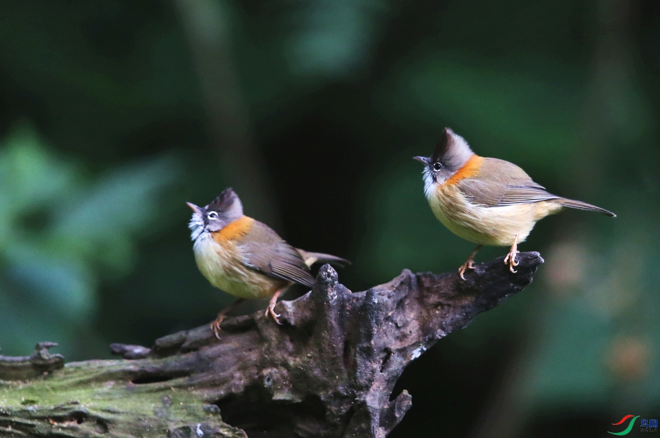 ���� IMGL0843.JPG