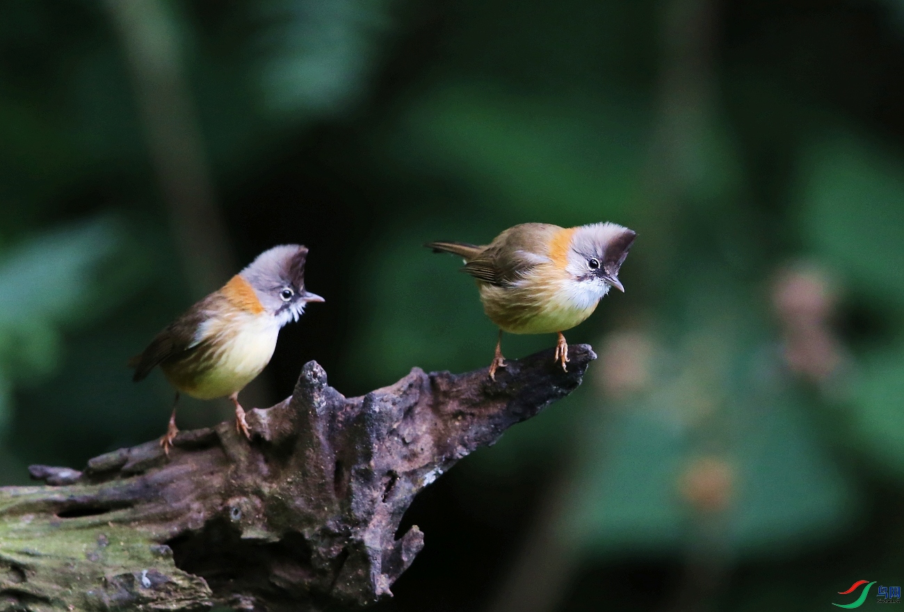 ���� IMGL0847.JPG