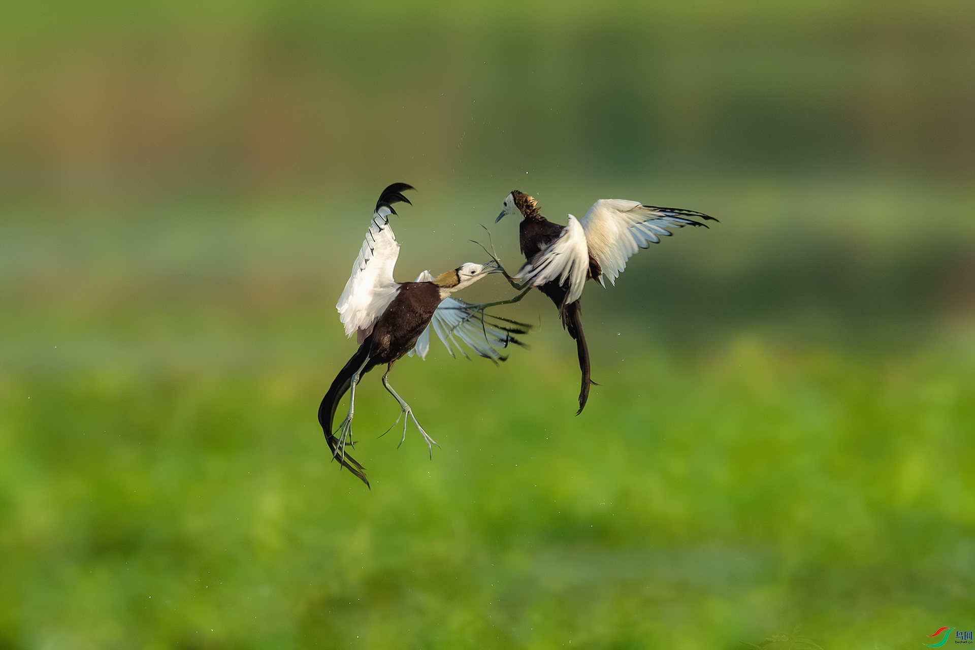 BE5I7132-����ǿ-NR-2 ����С.jpg