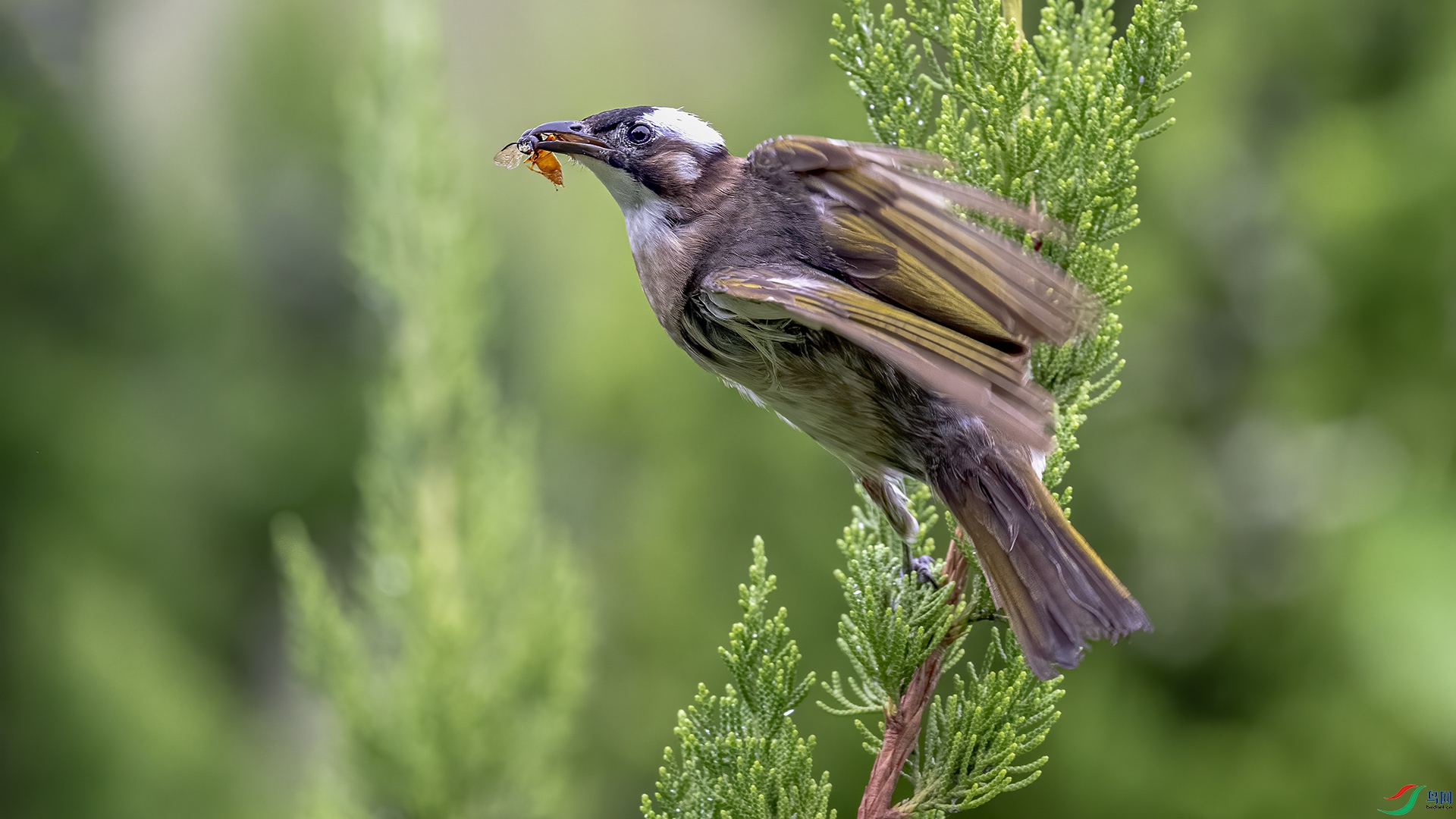 DSC_7781-1.jpg