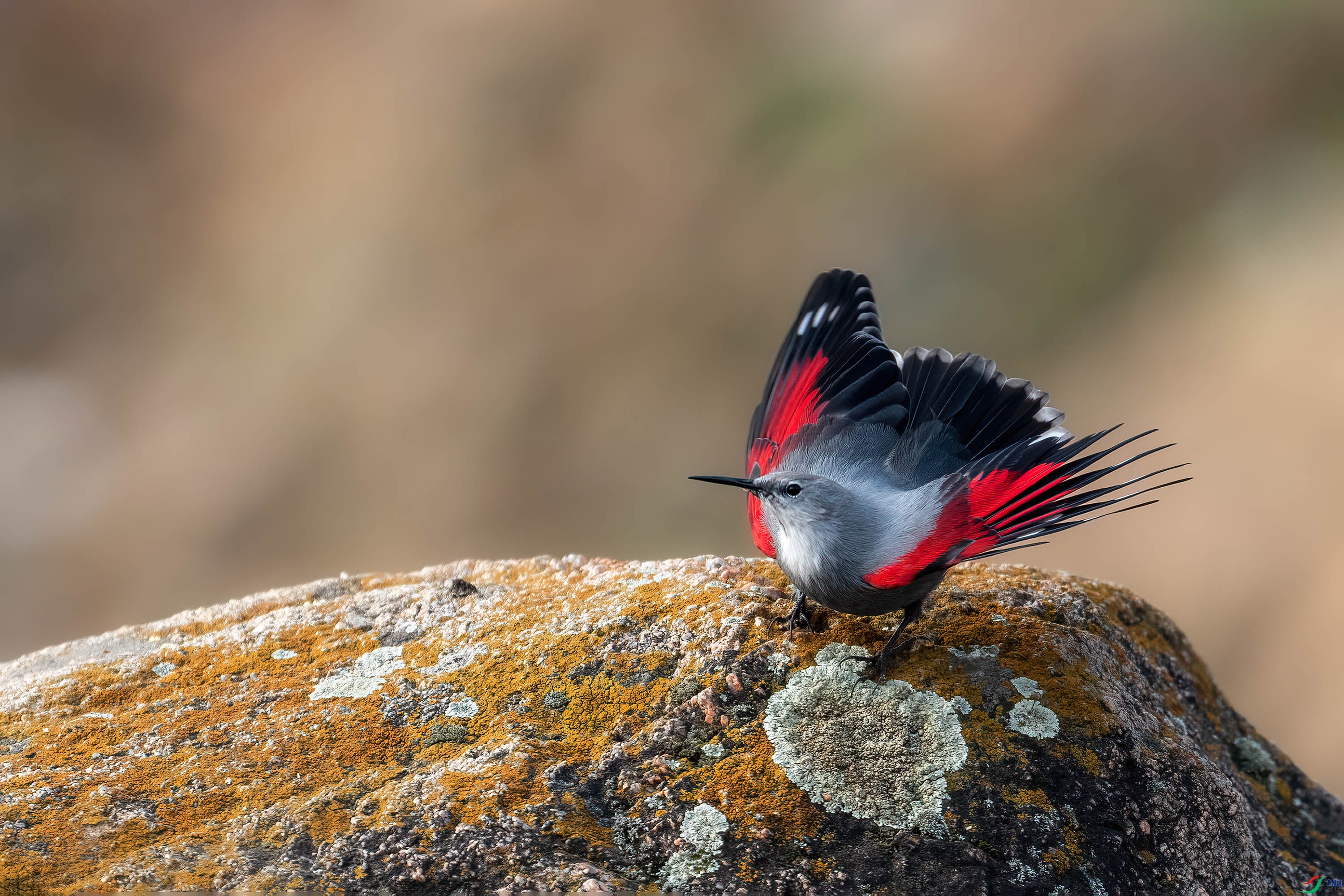 DSC04294 ���� 2.jpg