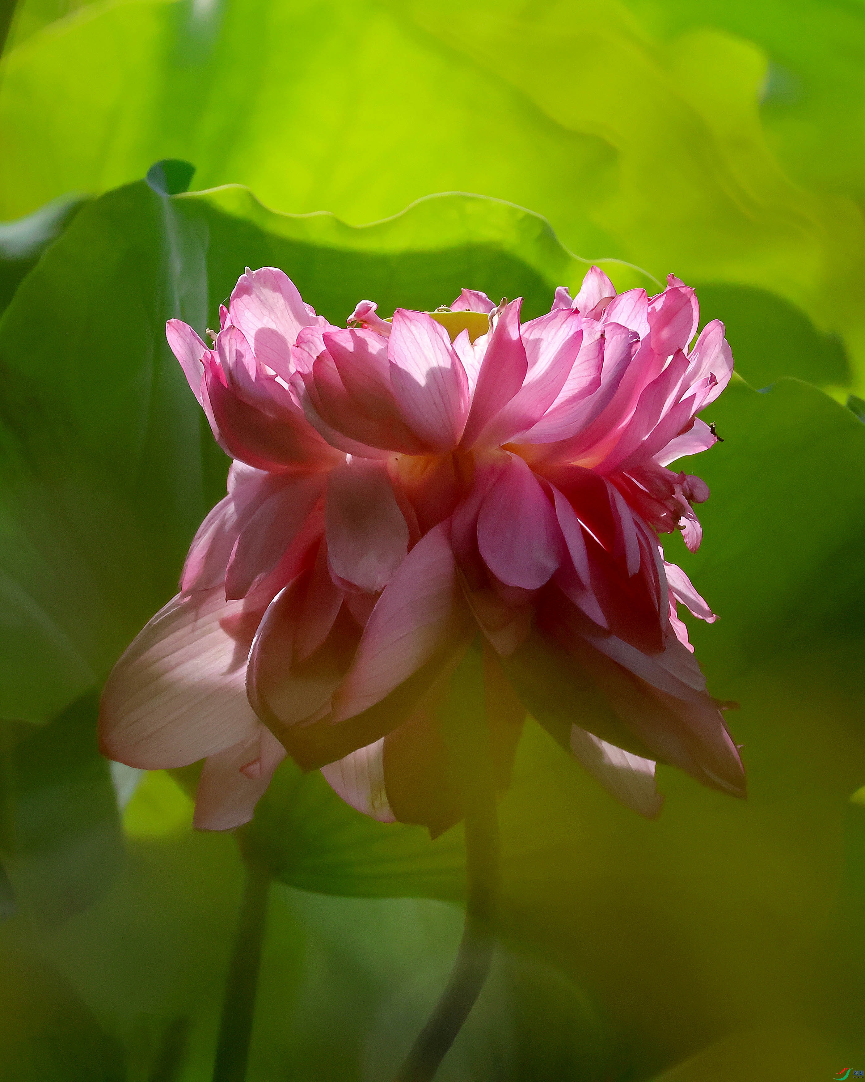 2G9A9928.JPG