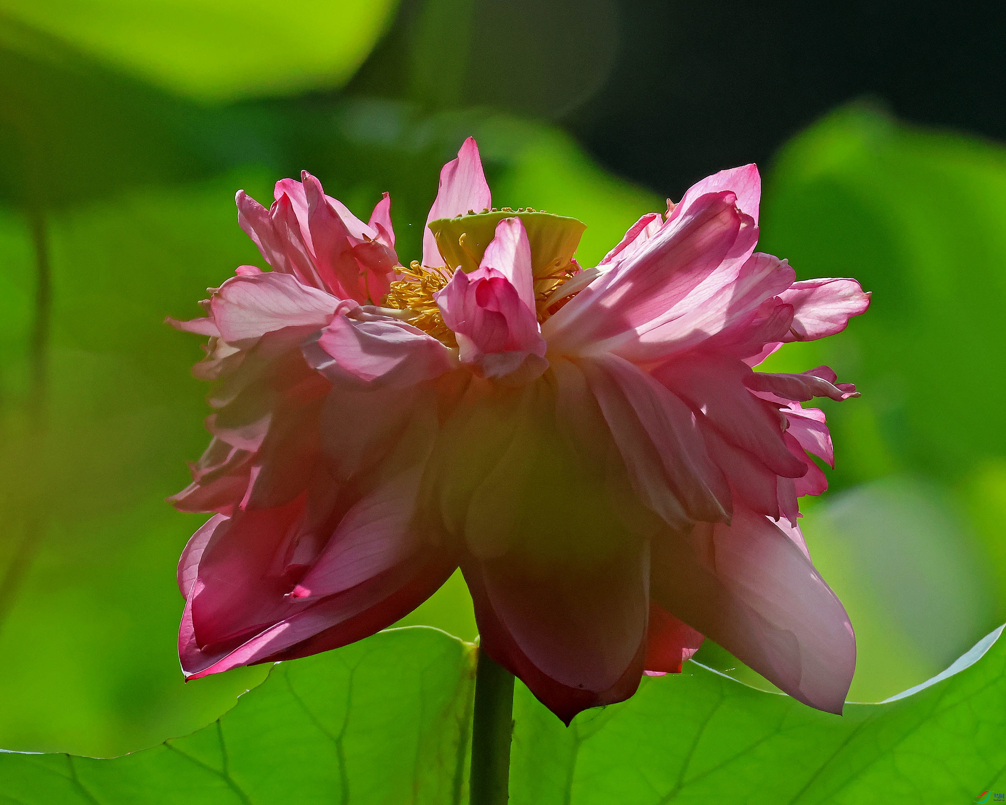 2G9A9927.JPG