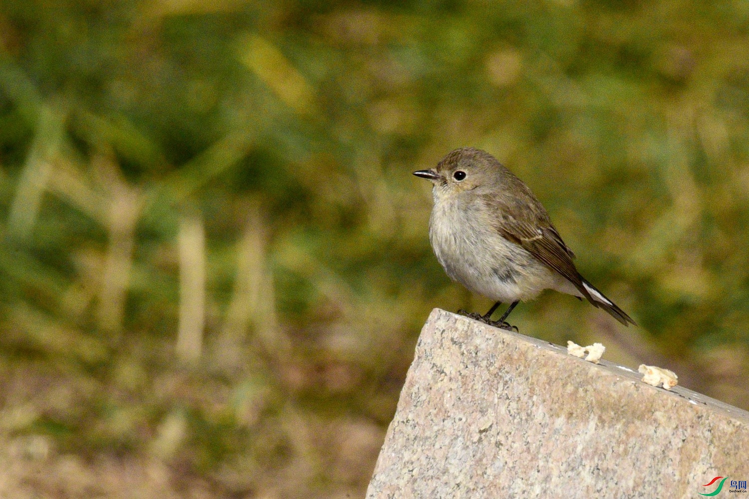 DSC_1760.JPG
