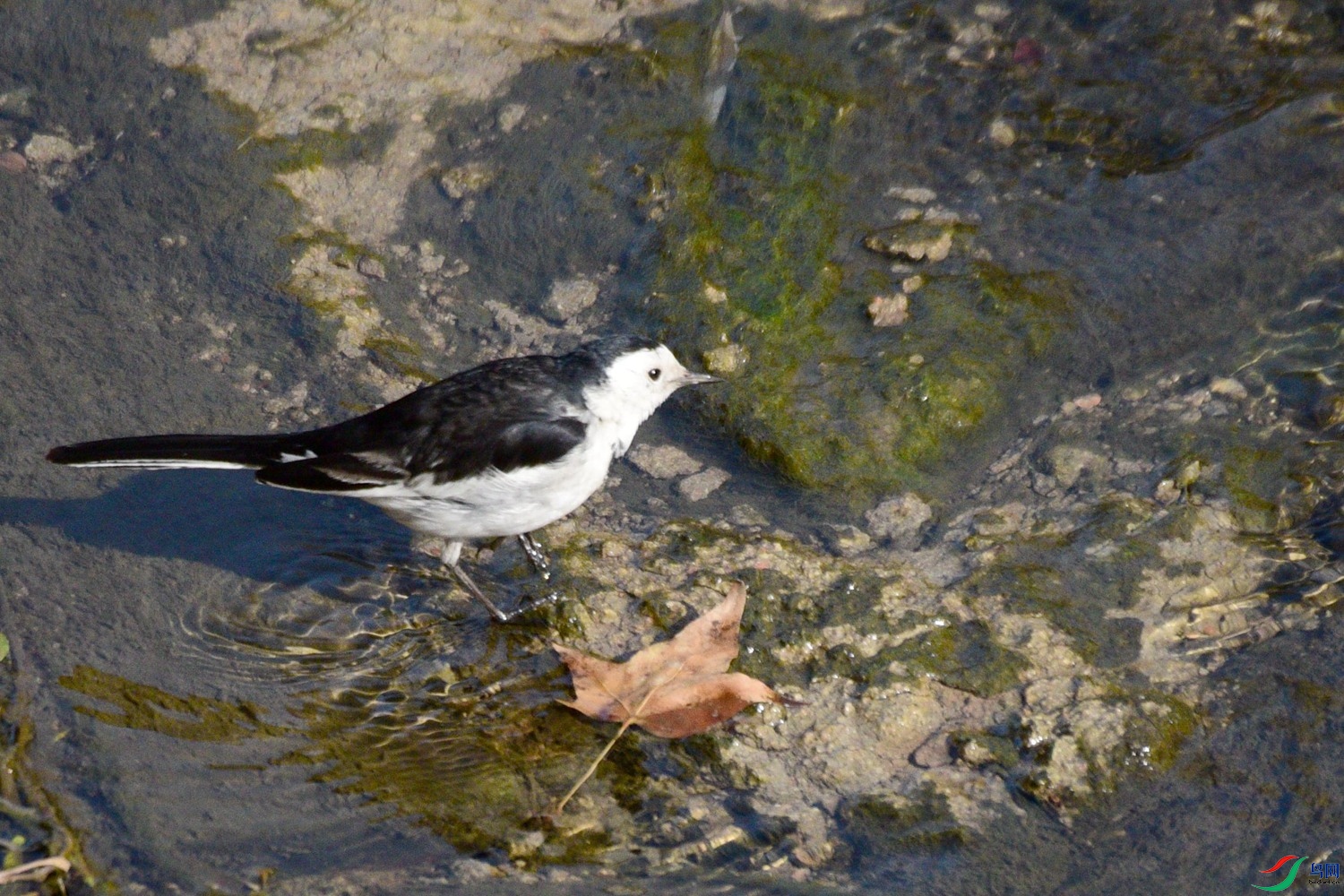 DSC_3902.JPG