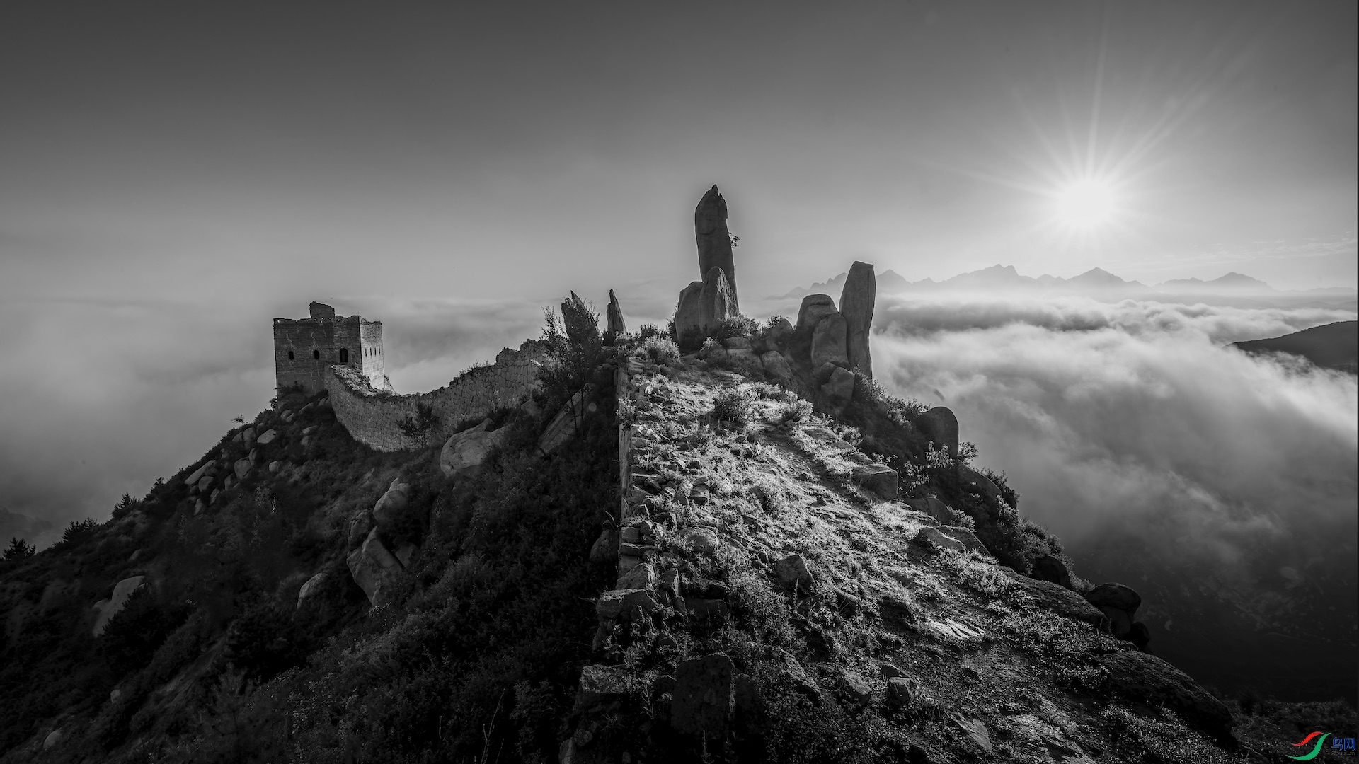 8_XXL1295-����ǿ-NR ���� 2 2 ����.jpeg