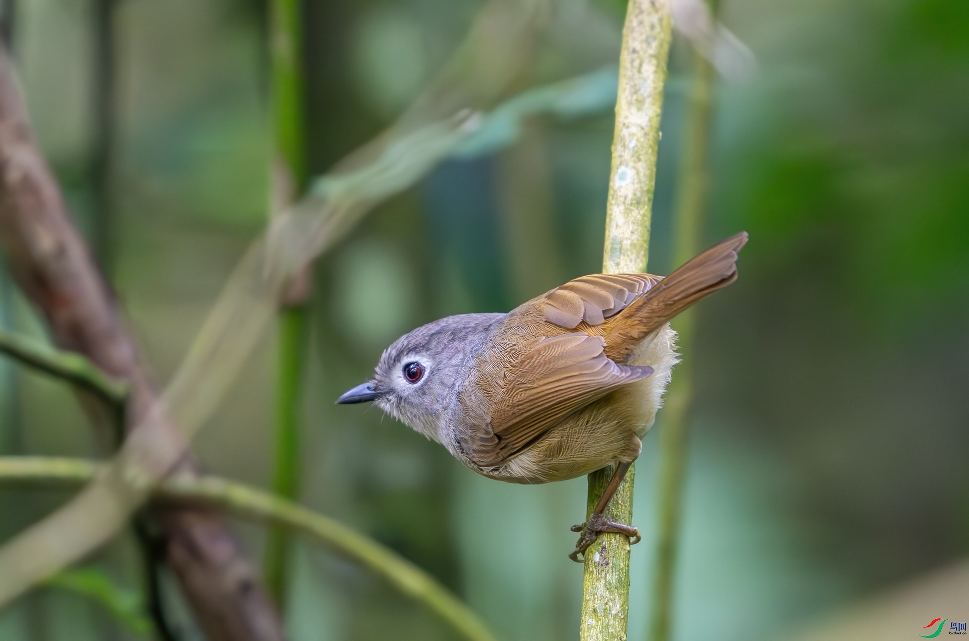 DSC_6862.jpg