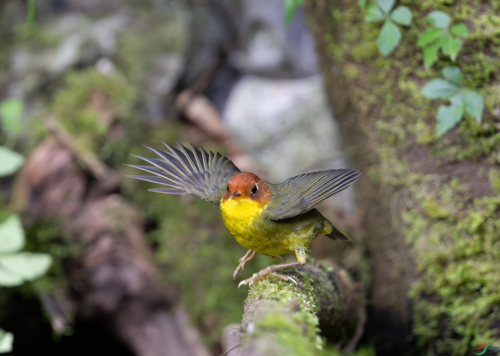 DSC_6897.jpg