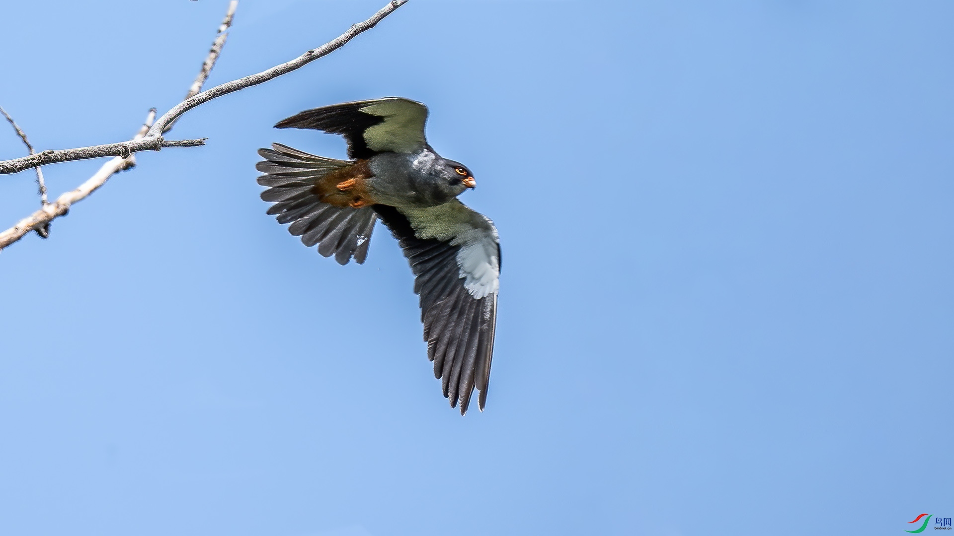 DSC_9224.jpg