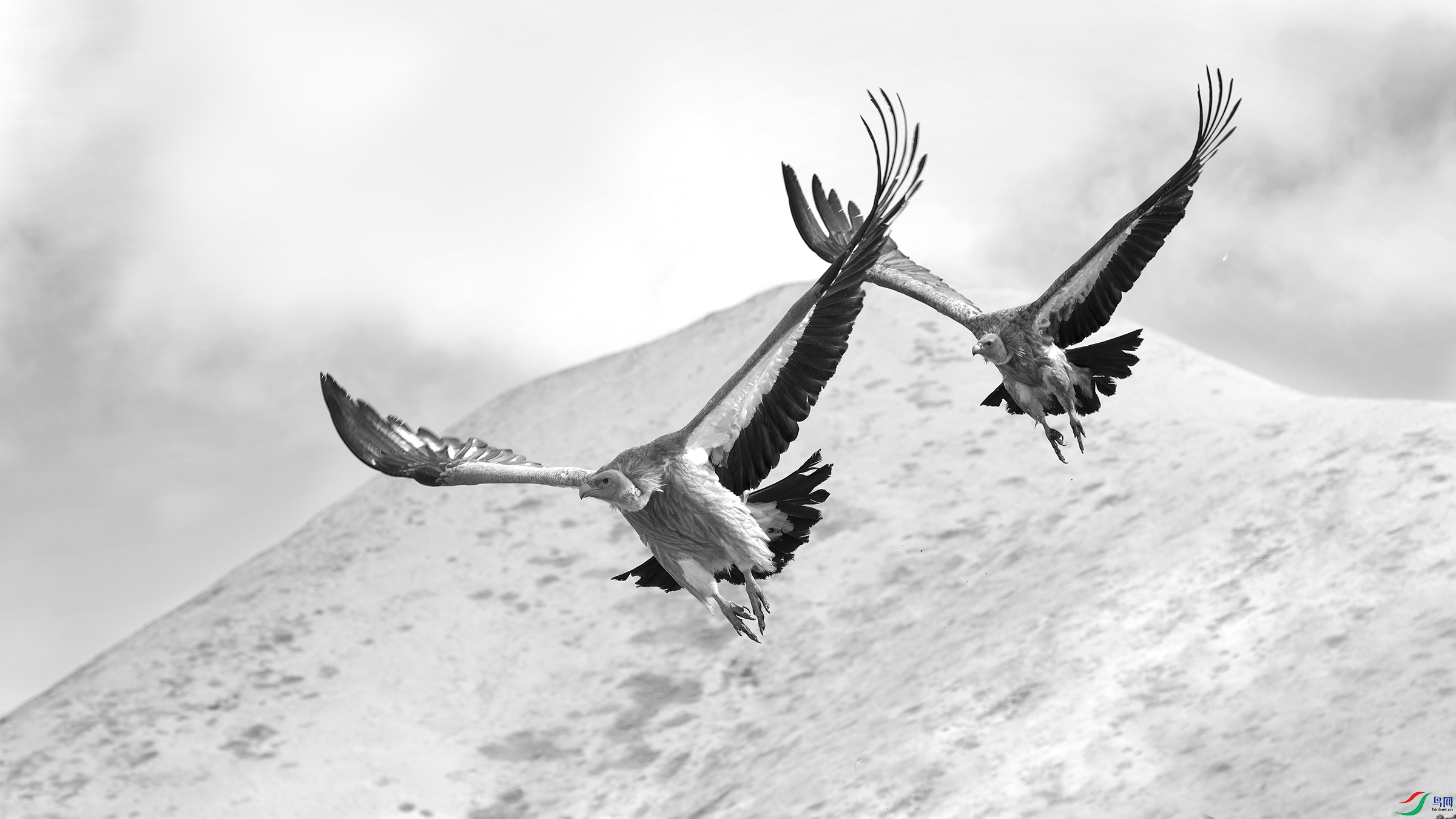 DSC_5609_DxO.jpg