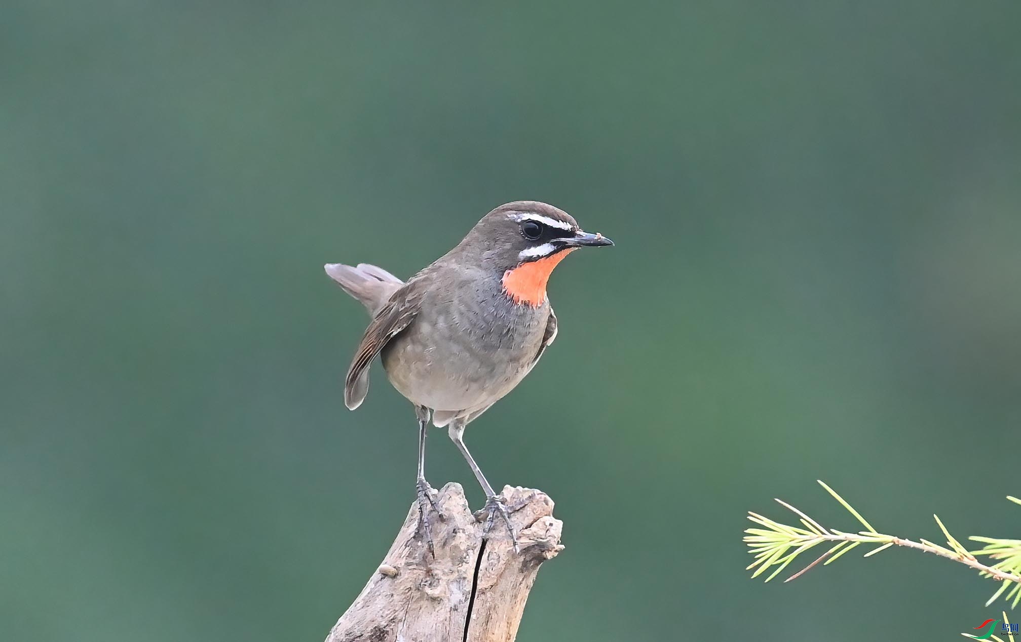 DSC_7534_���� ����.jpg