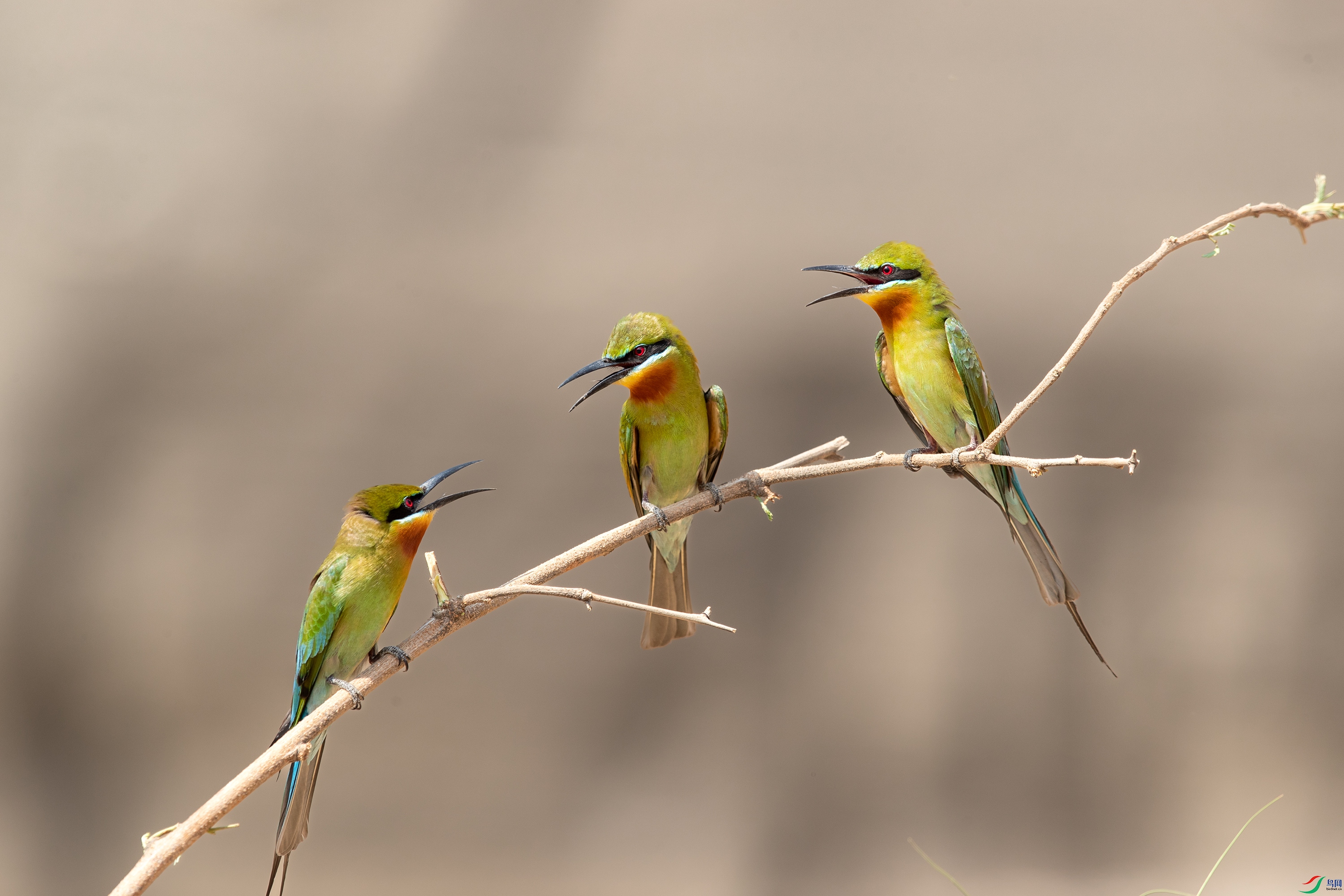 AY8I1573 ����.jpg