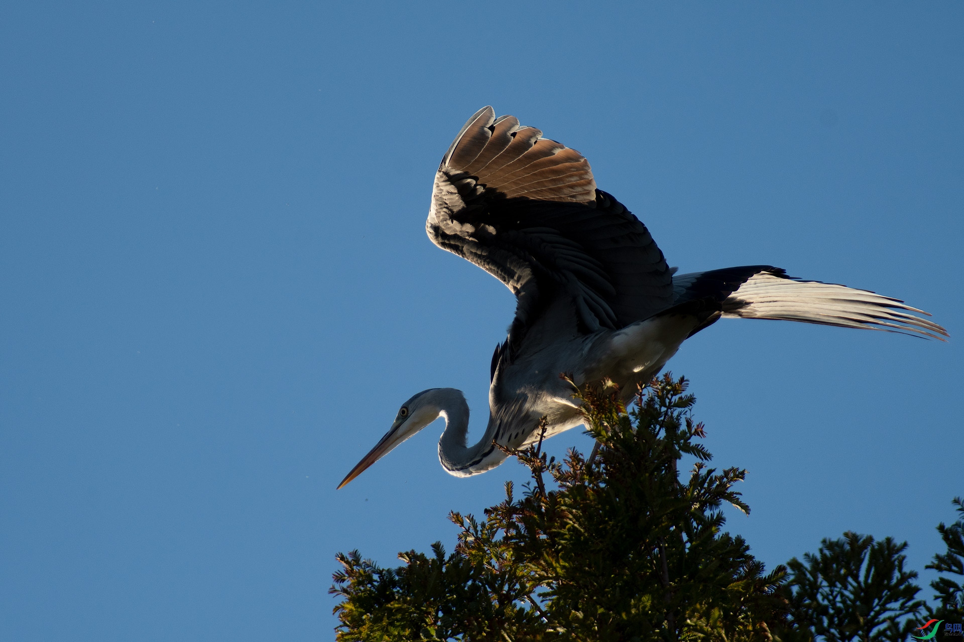 _DSC3806-20.jpg