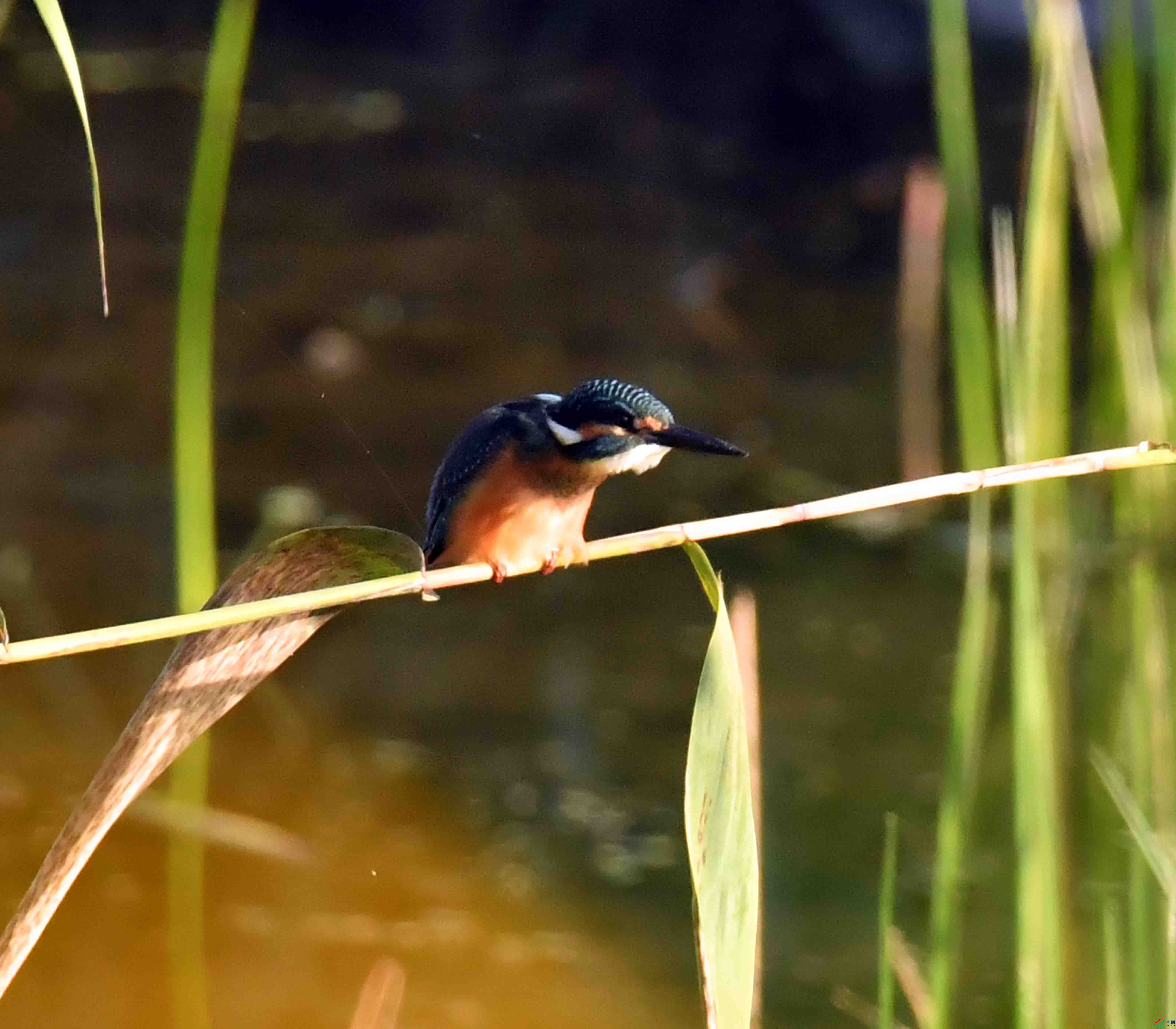 DSC_5076.JPG