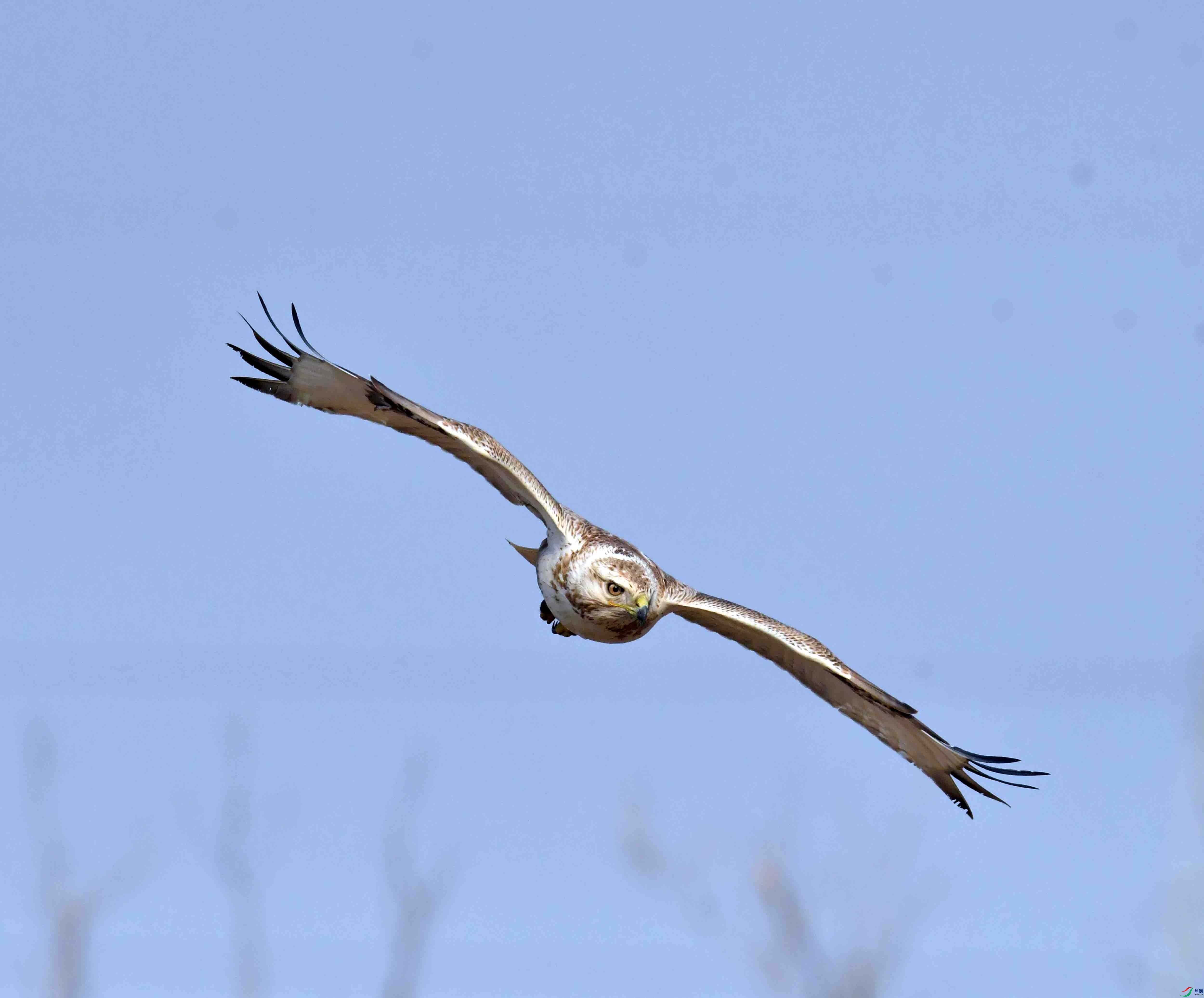 DSC_6146.JPG