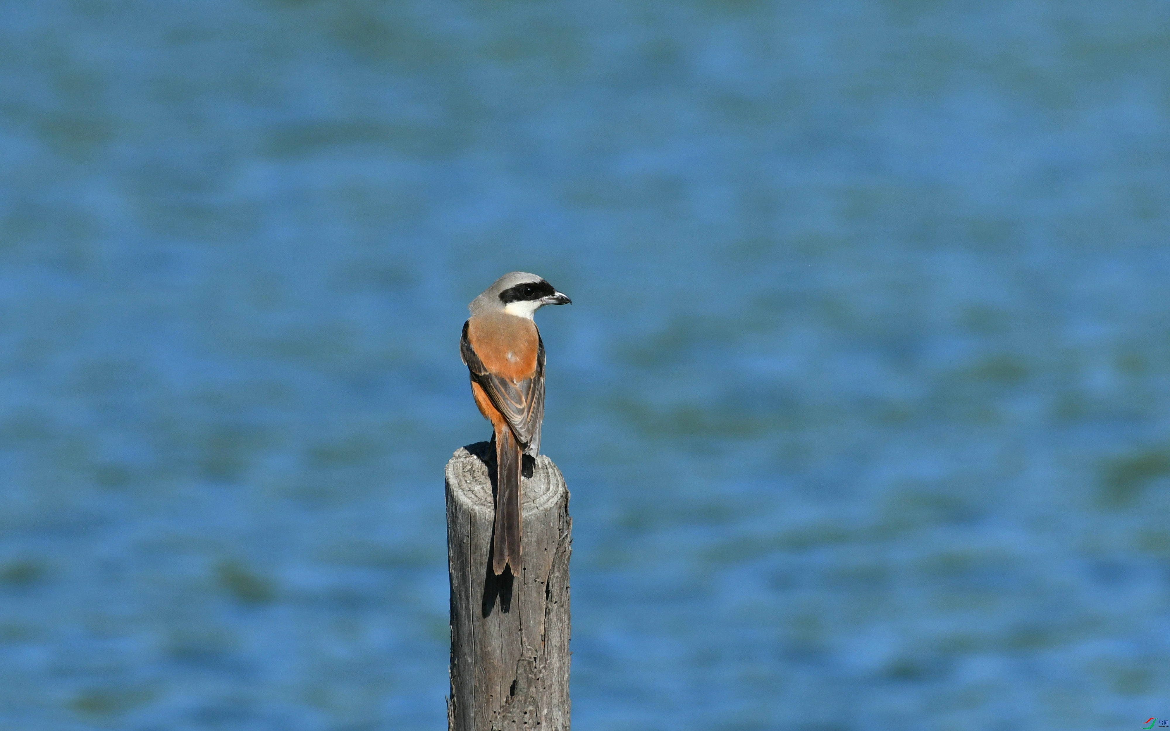 DSC_1850.JPG