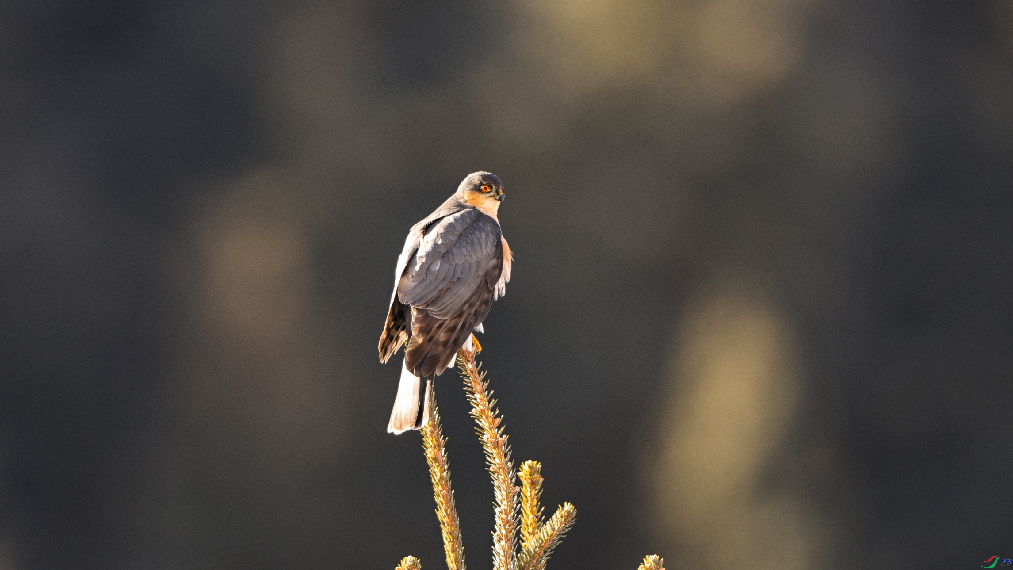 7X5A2828 ����4444.jpg