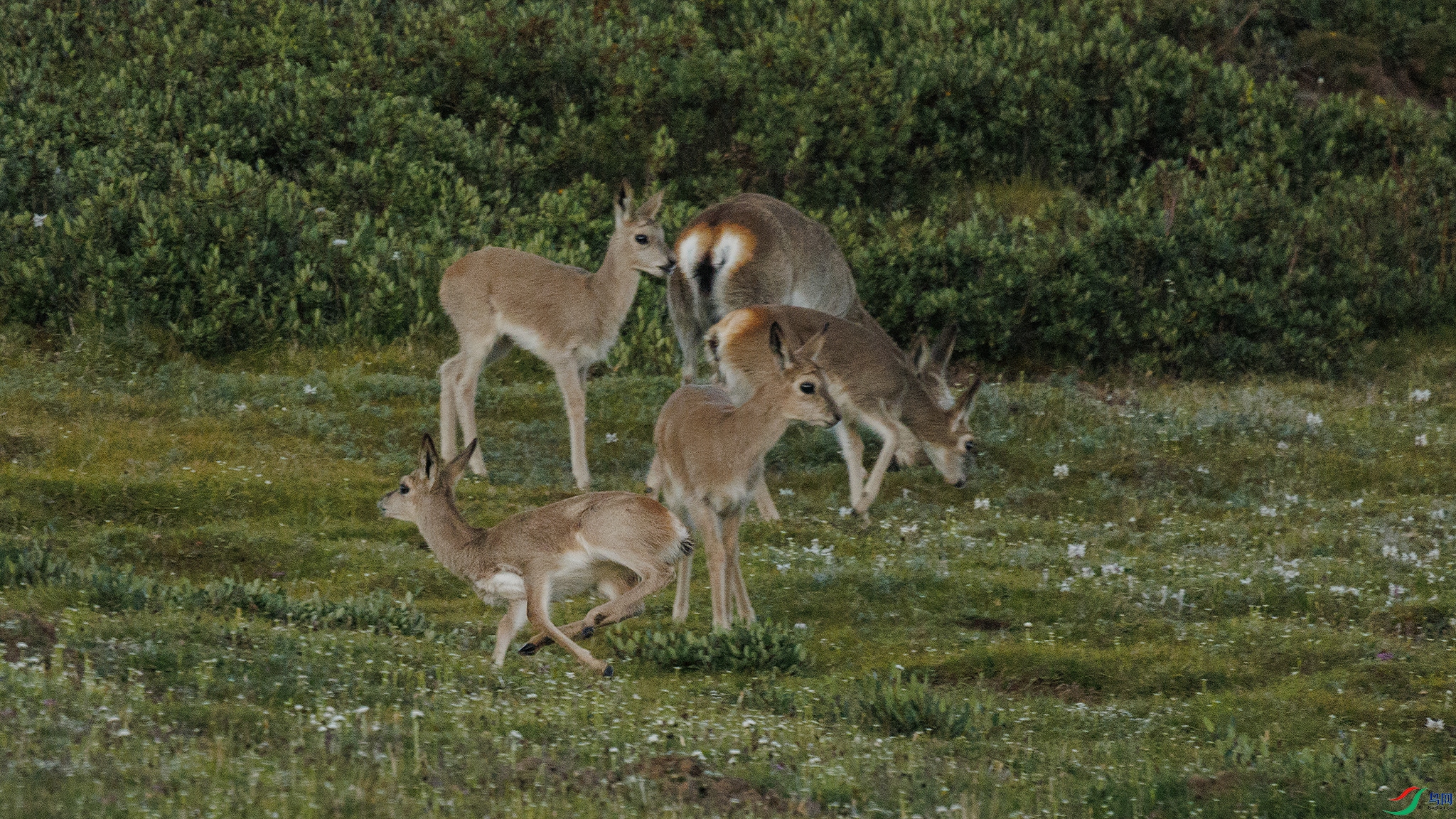 7X5A3509 ����44.jpg