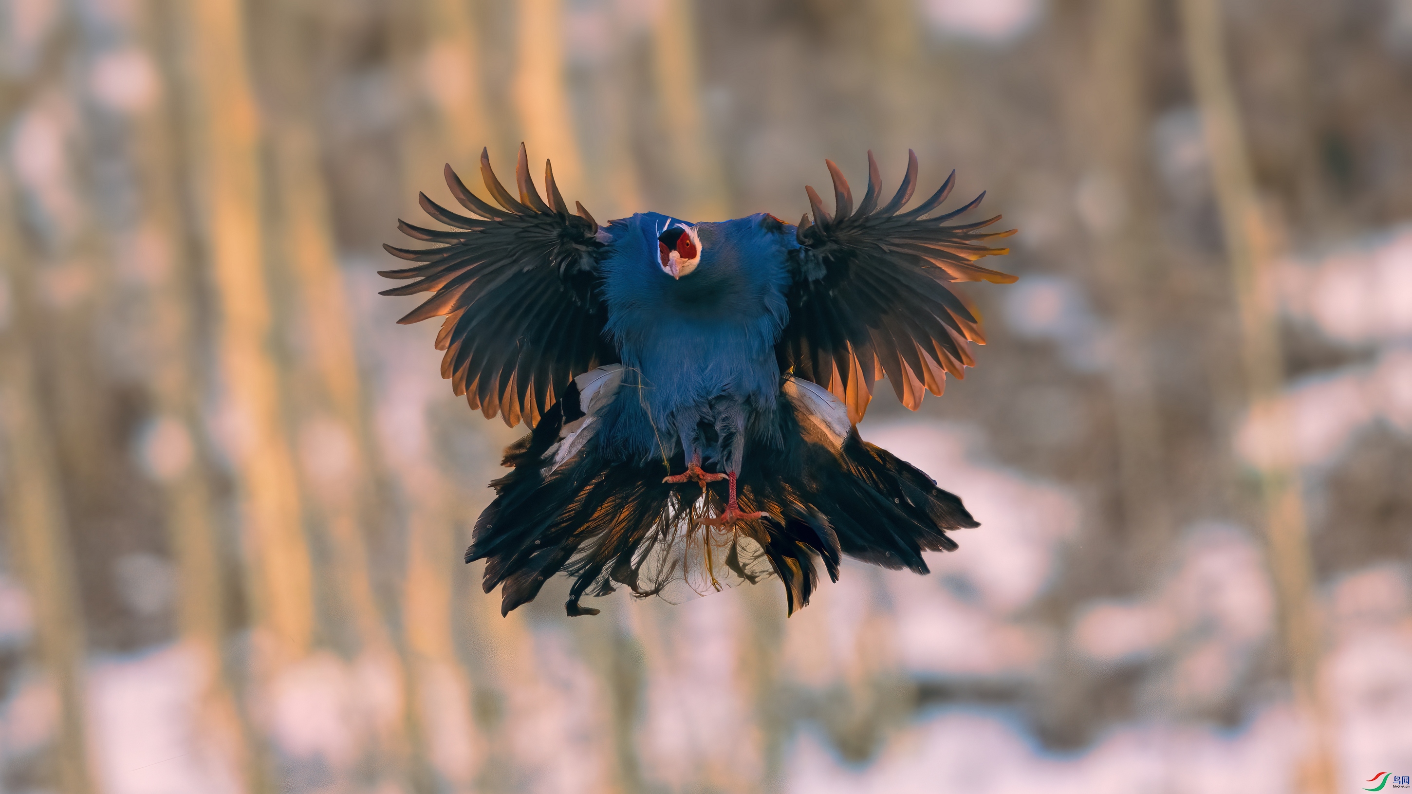 ��Ƭ_DSC2880 ����.jpg