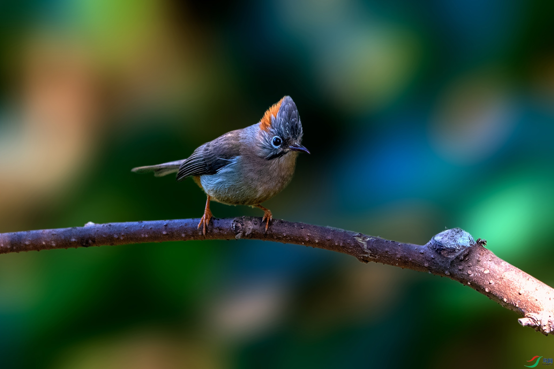 _AUU4094���η���(24.2.17).jpg
