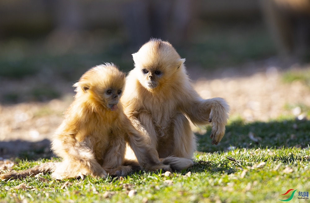 ��˿�� (3).jpg