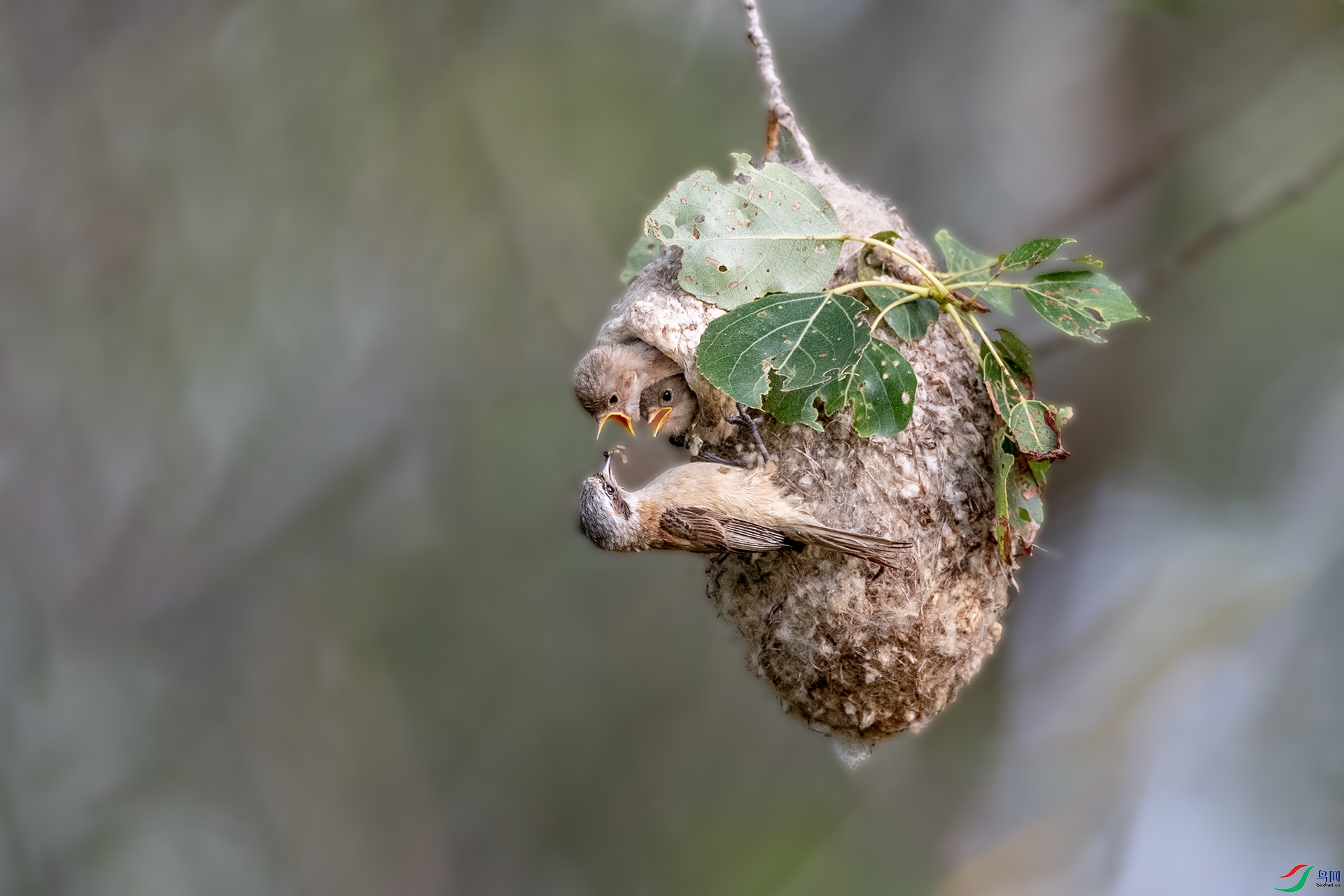 A47I6978 ����.jpg