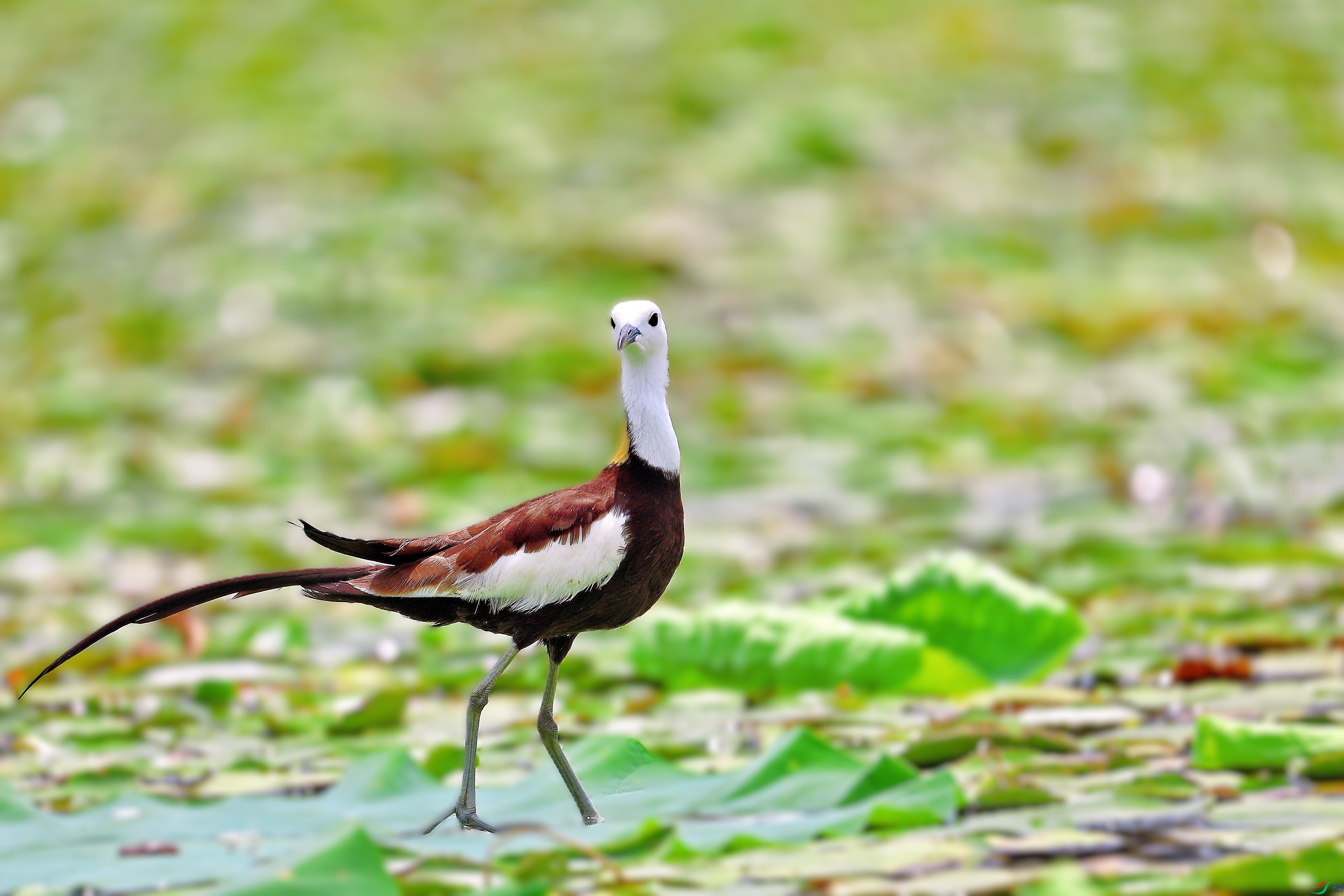 AS8I0013_���� (2).jpg