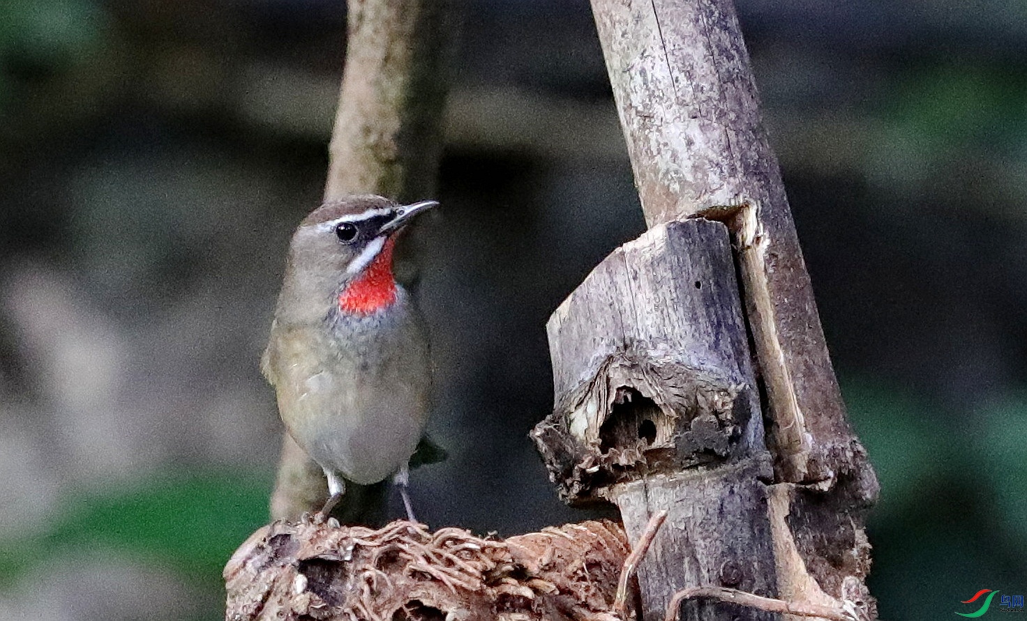 BK2A2330.JPG