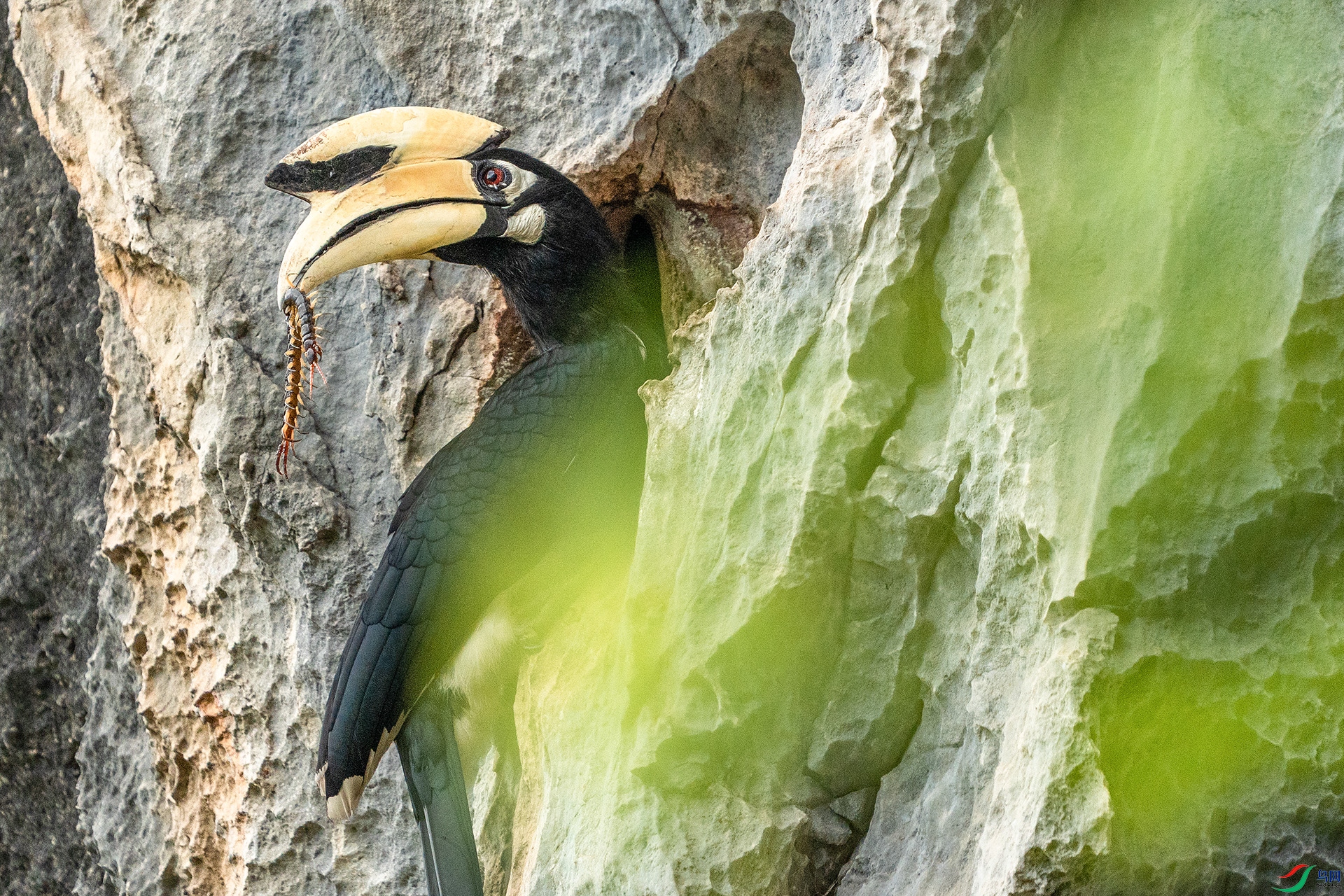 DSC05390 ����aa ����.jpg