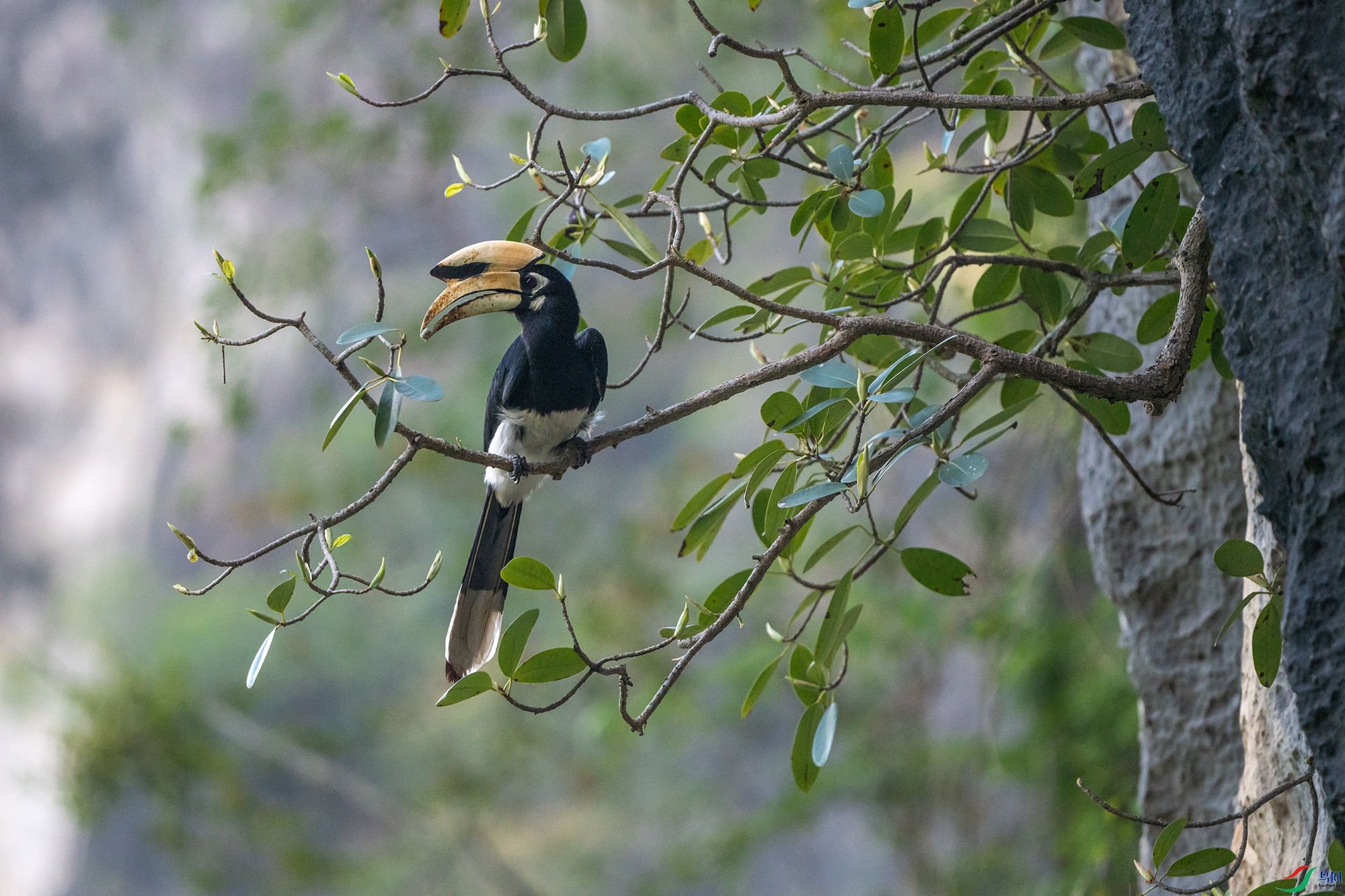 DSC_9478 ����11.jpg