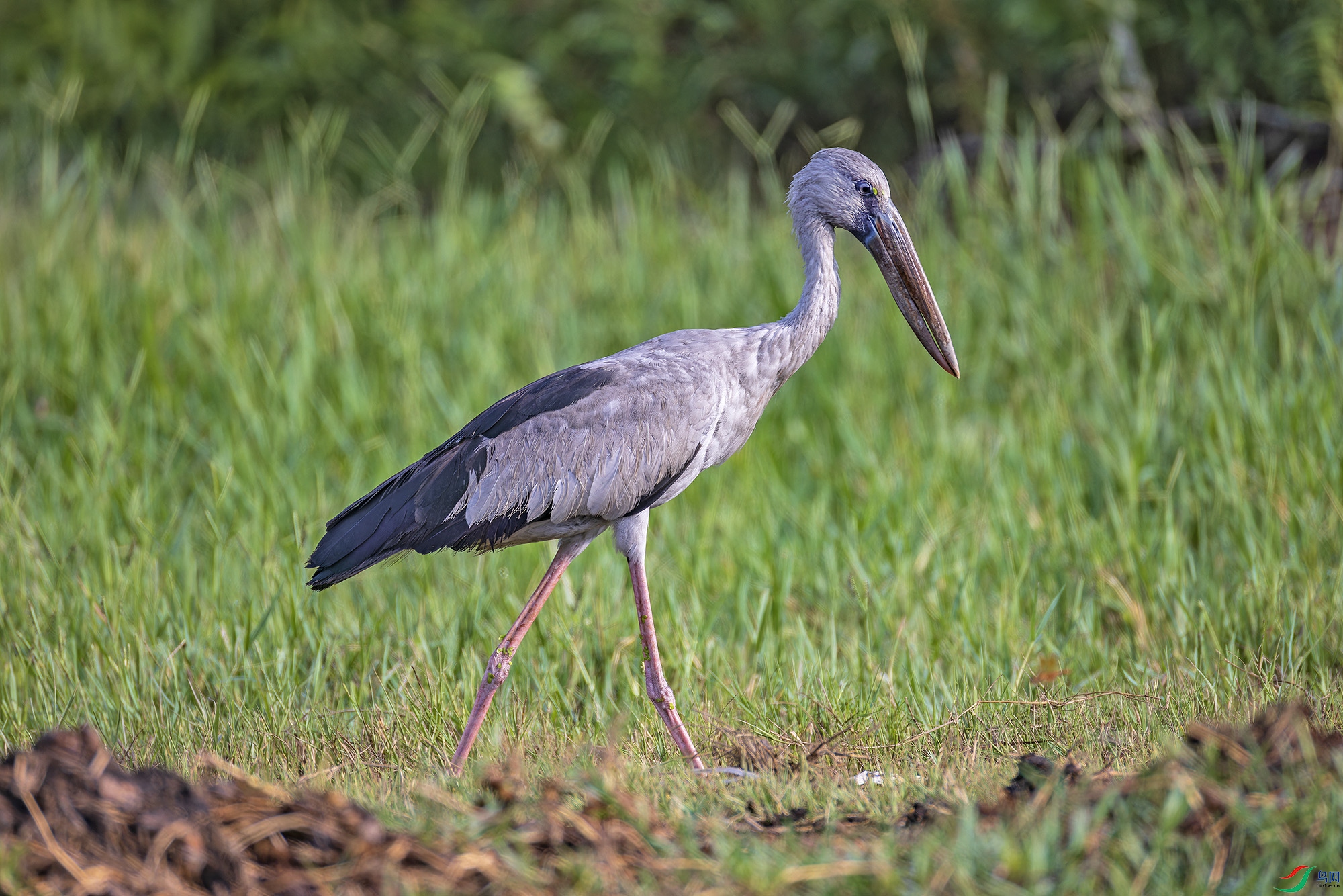 _97A4405-CR3 copy.jpg