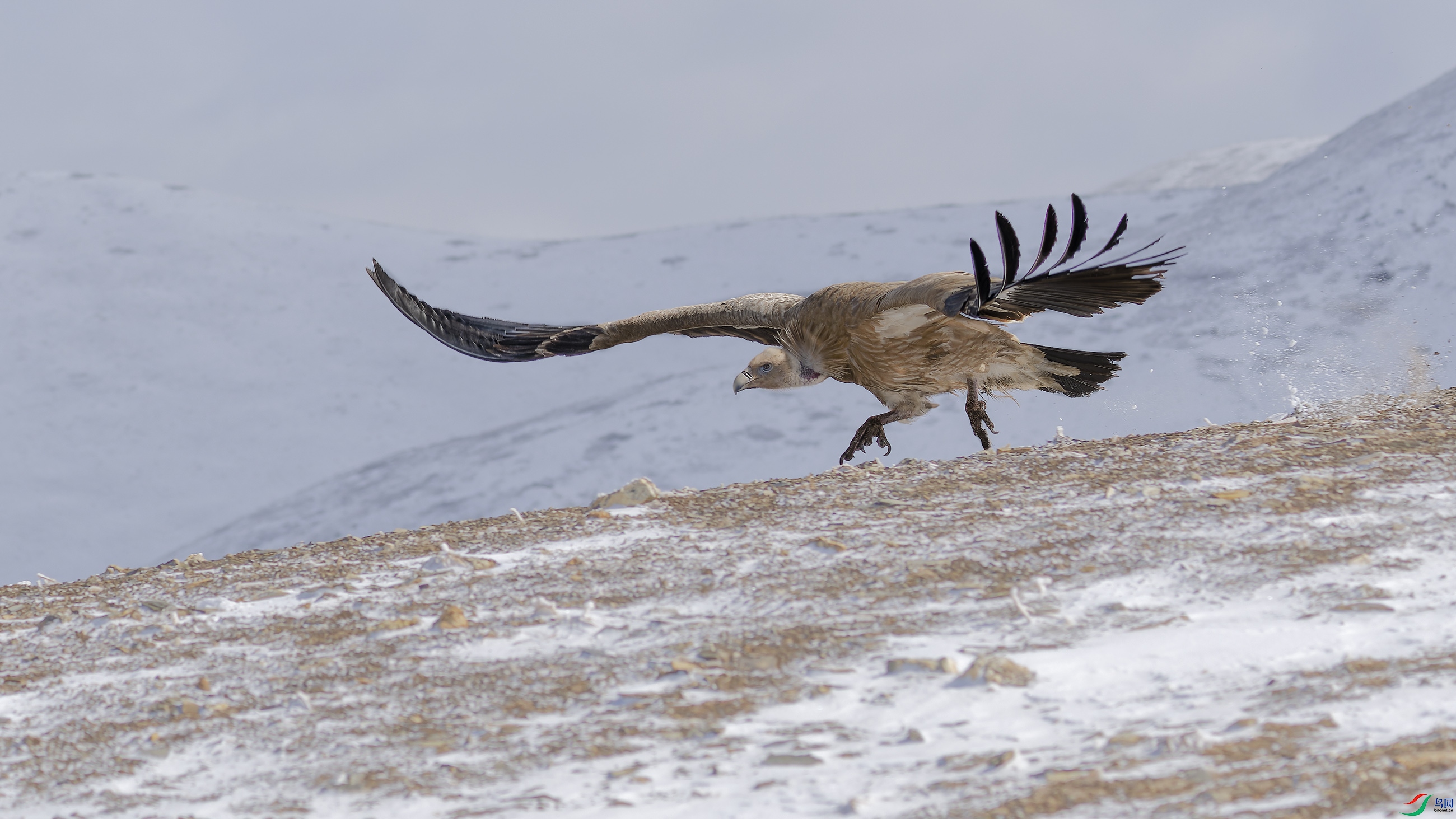 DSC_3590_DxO.jpg