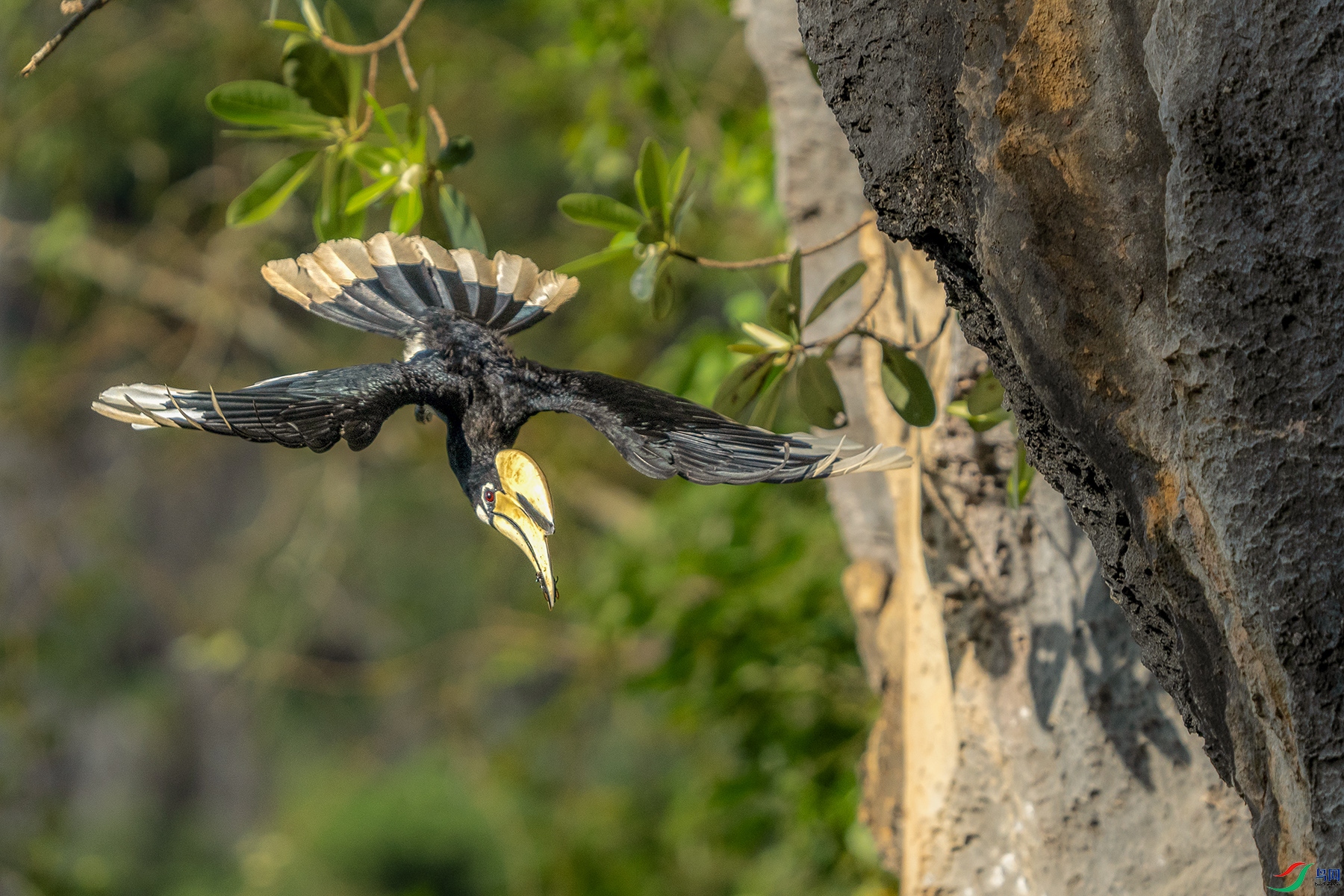 DSC07148 ����a ����.jpg