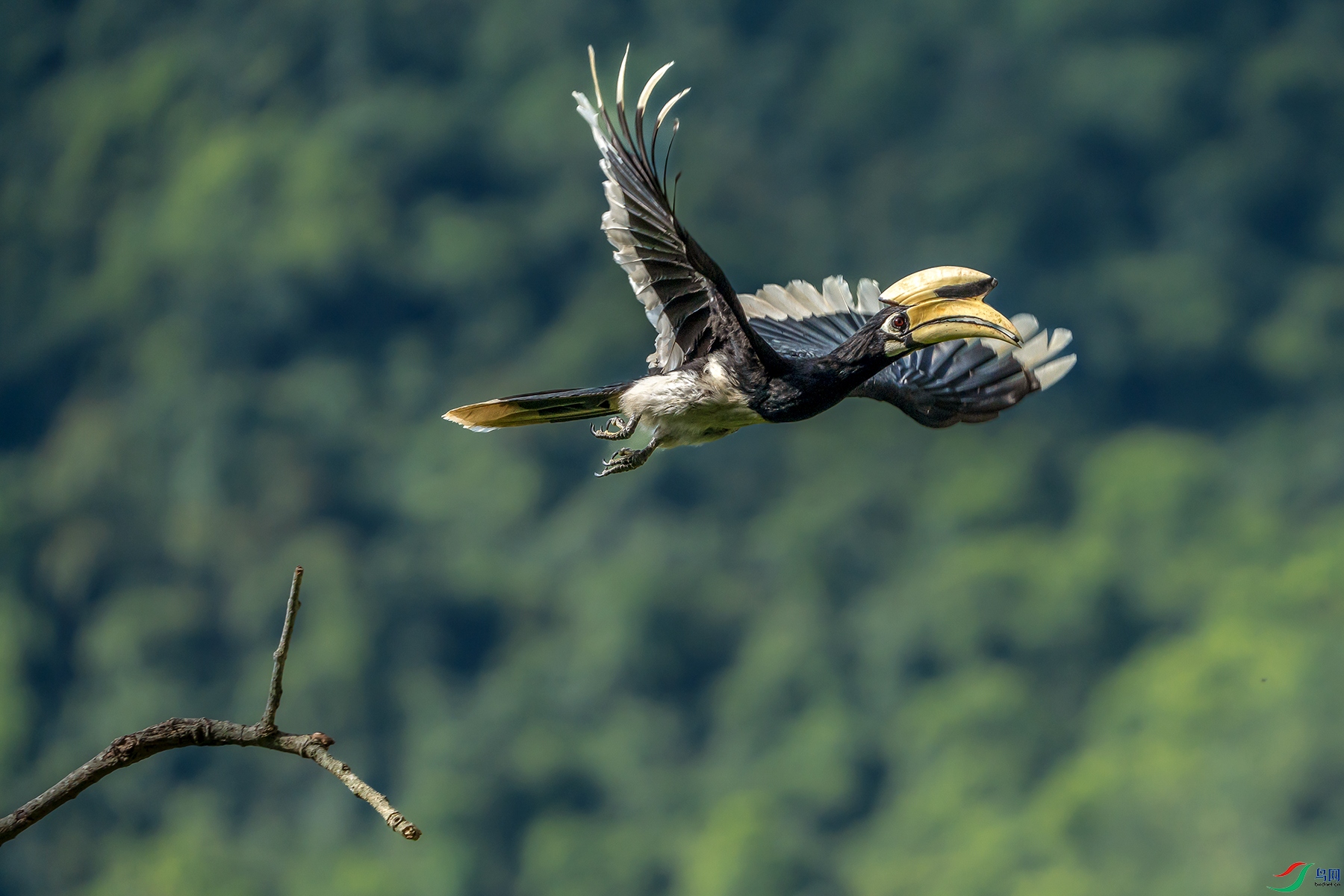 DSC07207 ���� 2.jpg