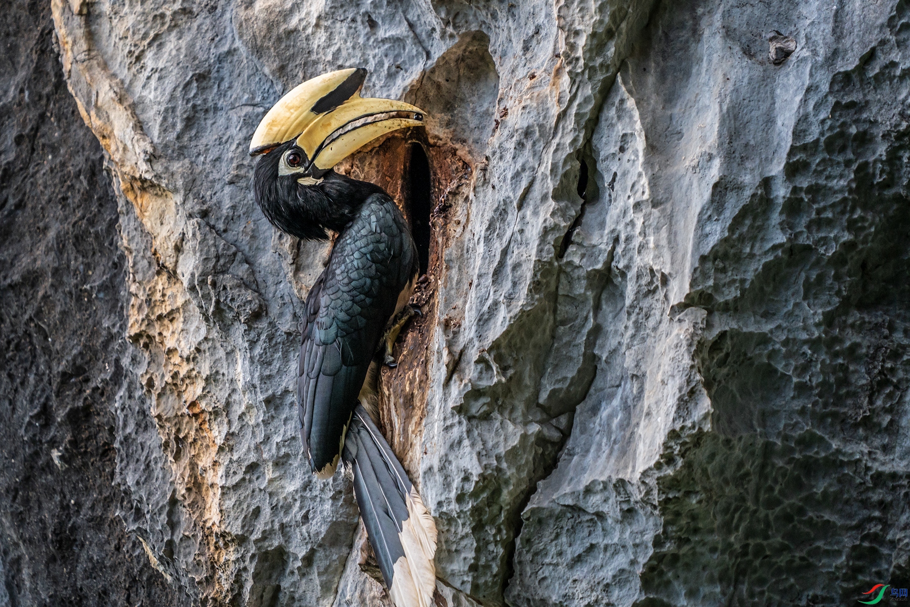 DSC07466 ���� 2.jpg