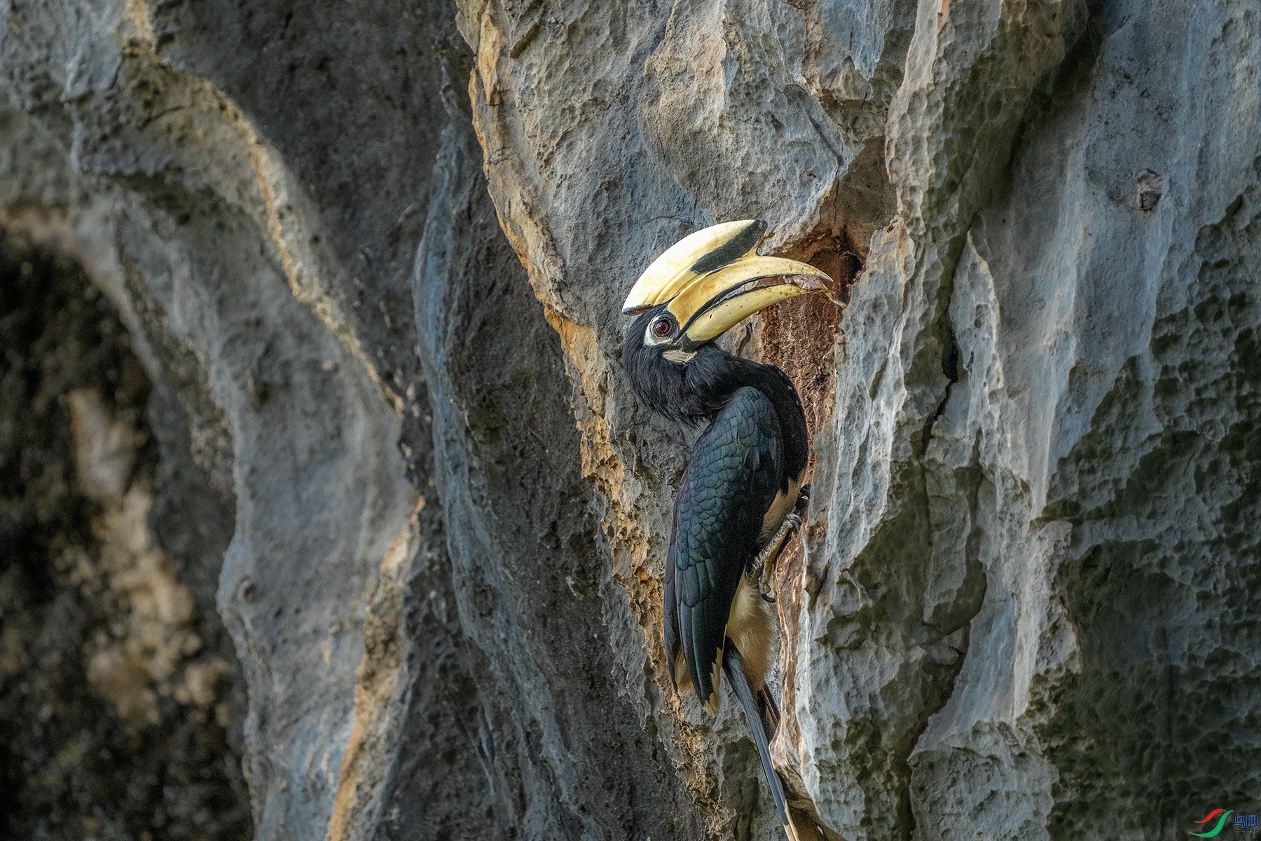 DSC07398 ���� 2.jpg