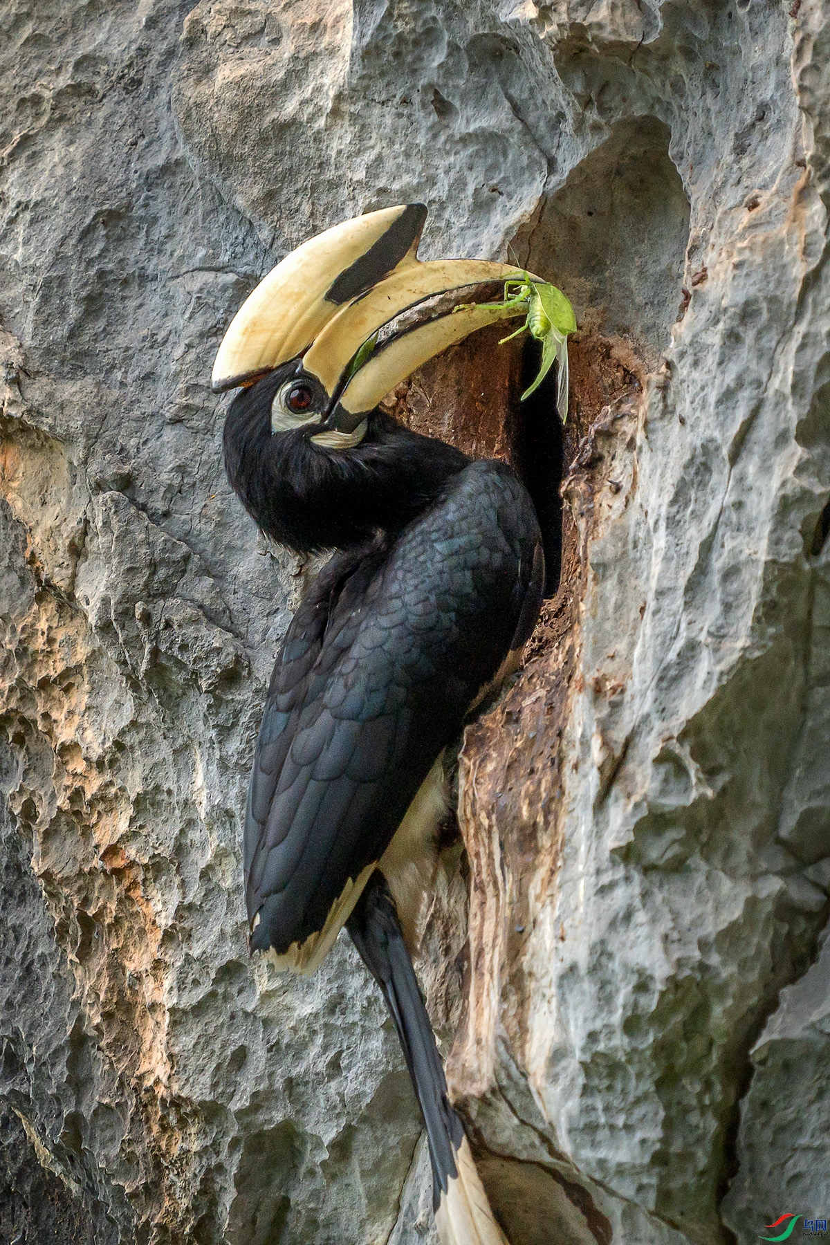 DSC08027 ���� 2.jpg