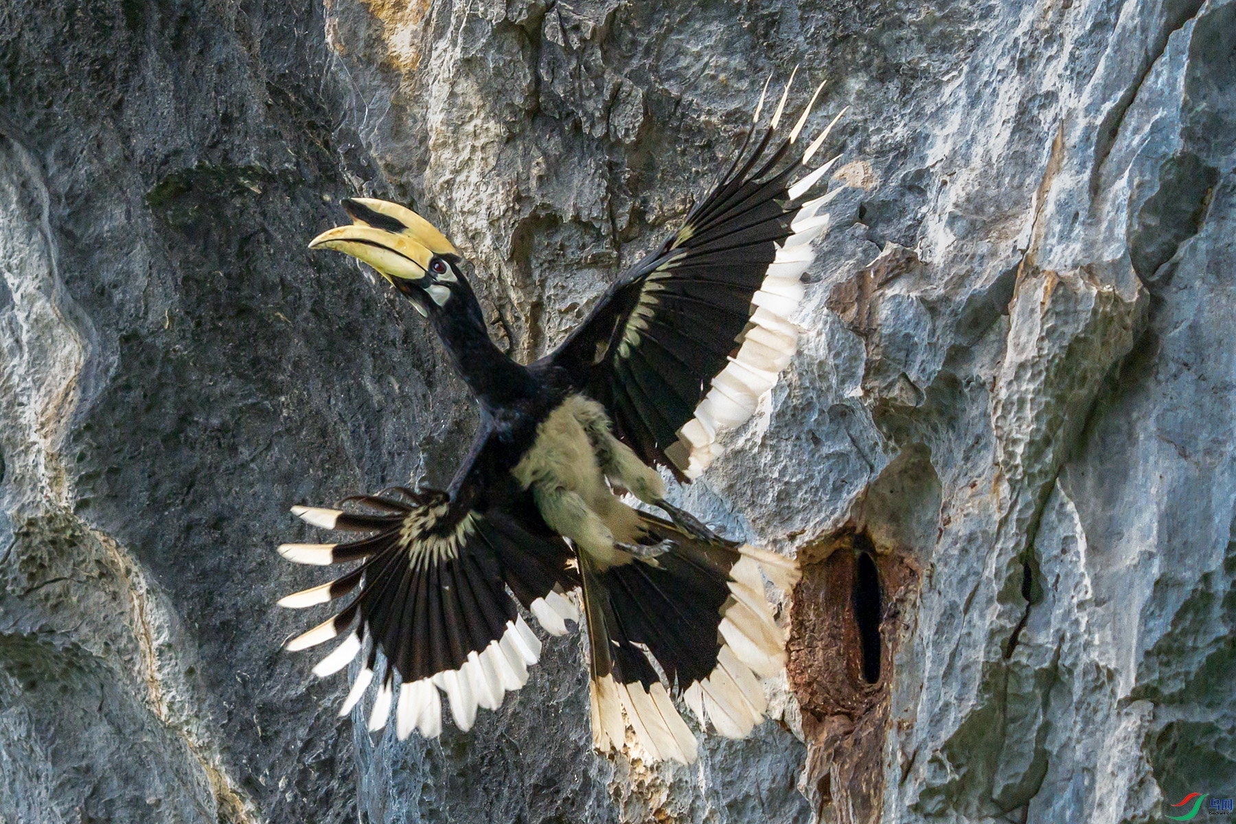 DSC08072 ���� 2.jpg