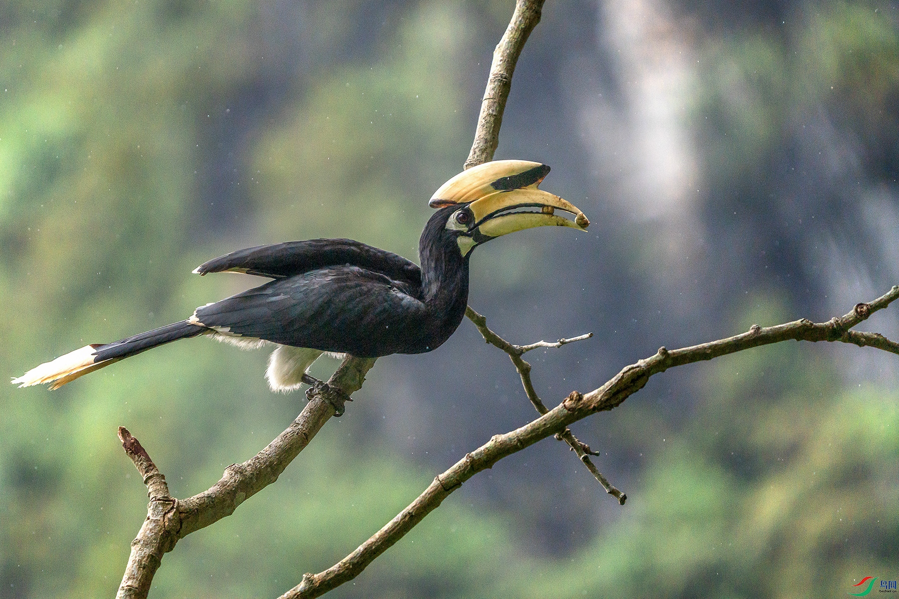 DSC08164 ���� 2.jpg