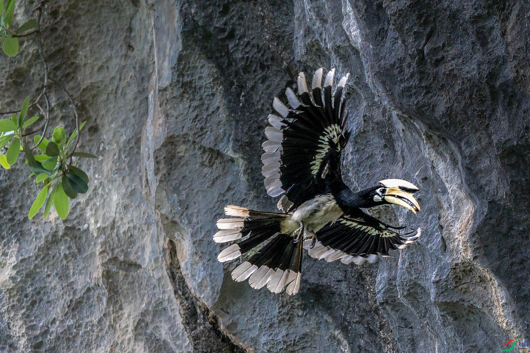 DSC08127 ���� 2.jpg