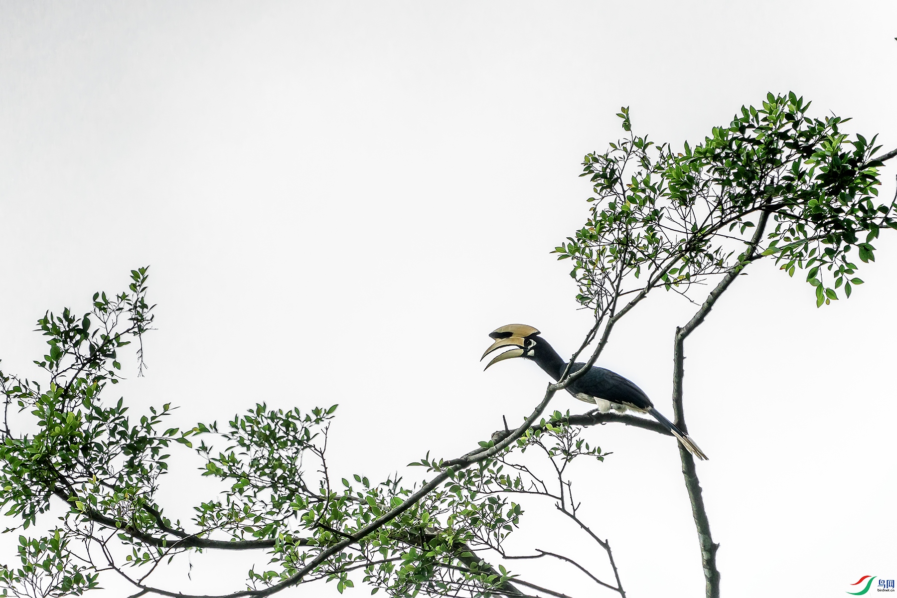 DSC08240 ���� 2.jpg