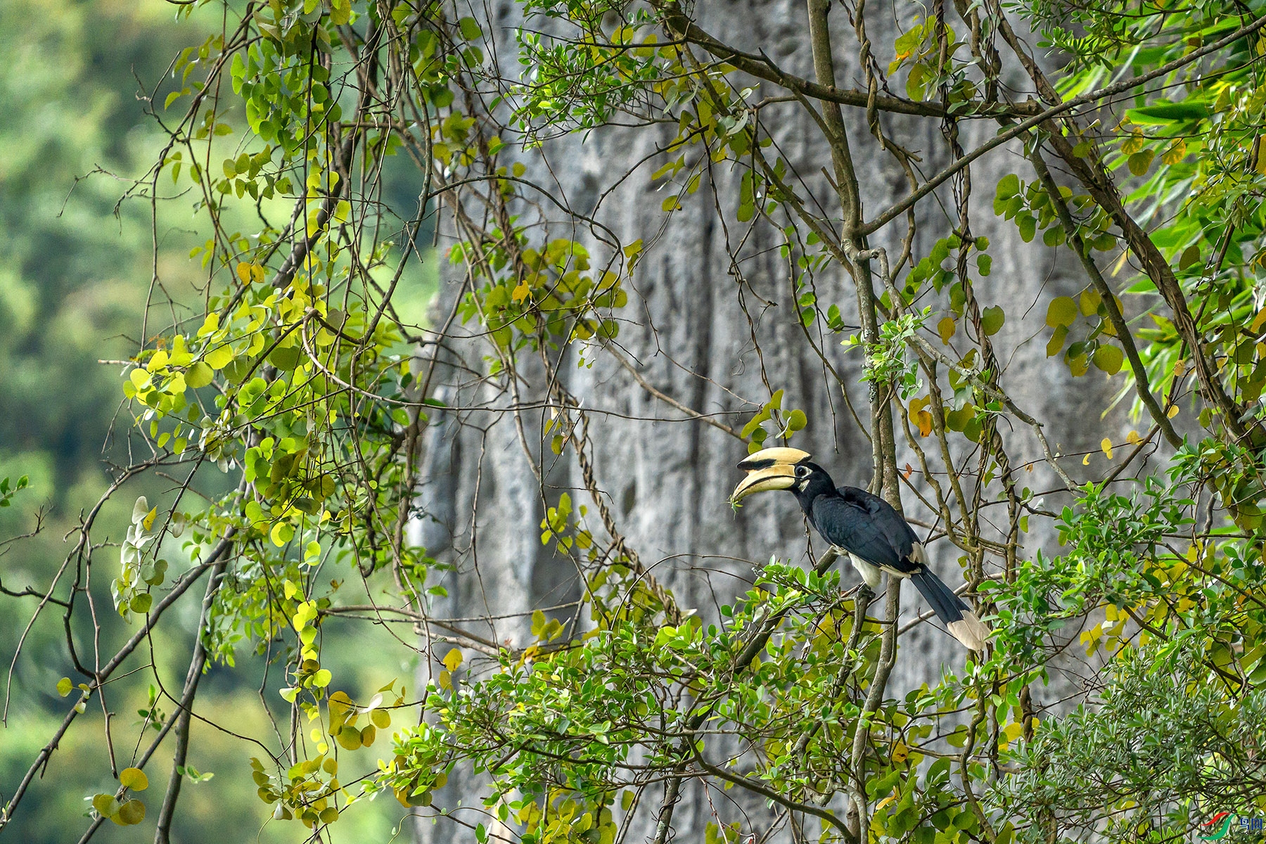 DSC08055 ���� 2.jpg