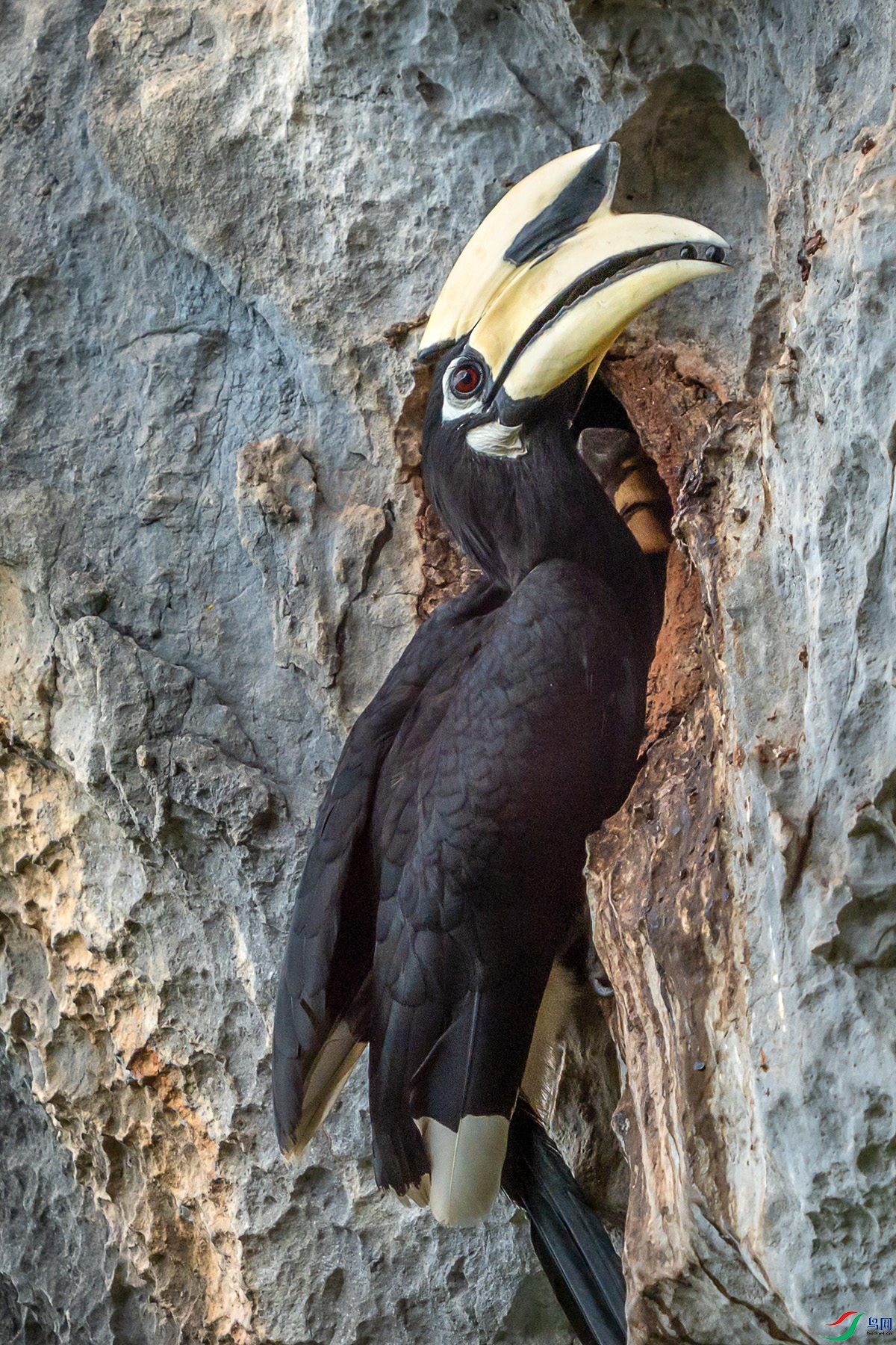 DSC08628 ����a ����.jpg