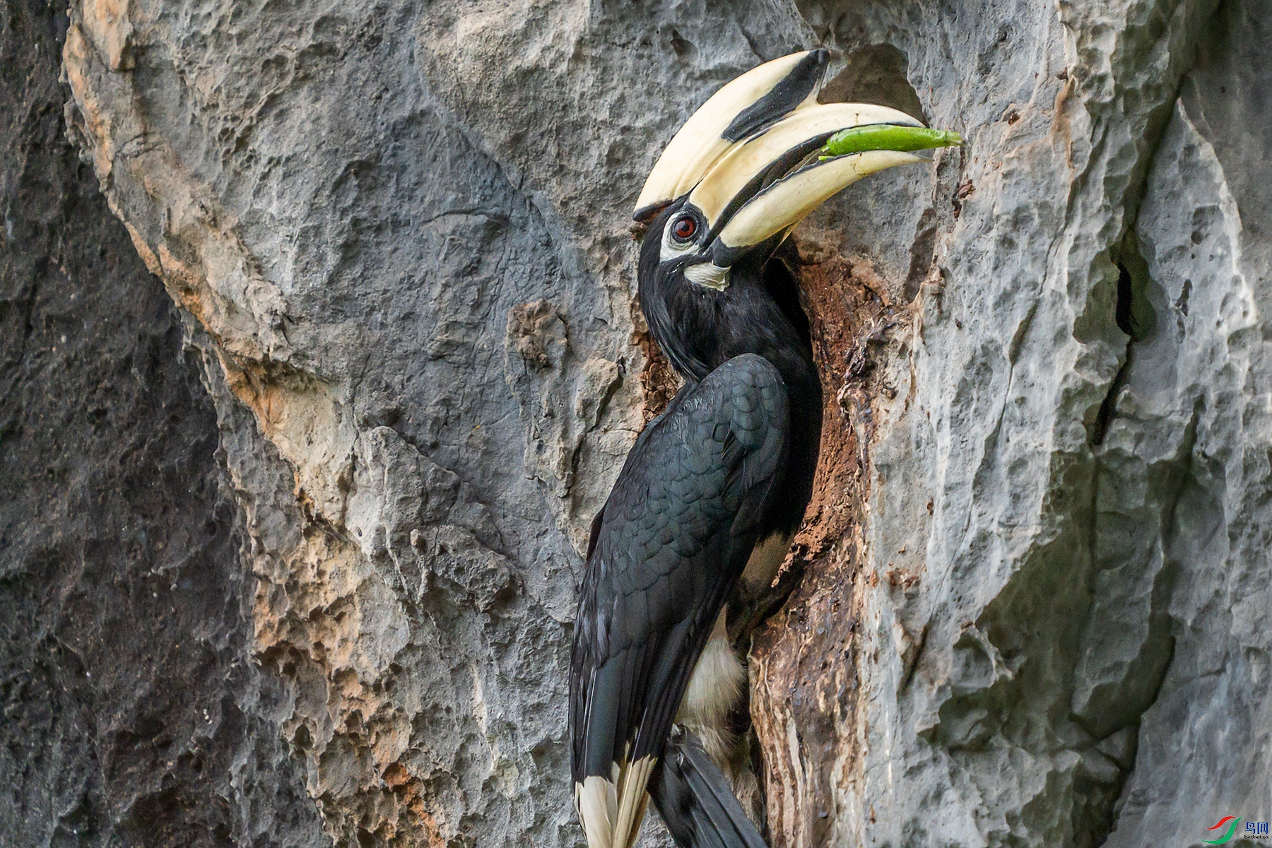 DSC08505 ���� 2.jpg