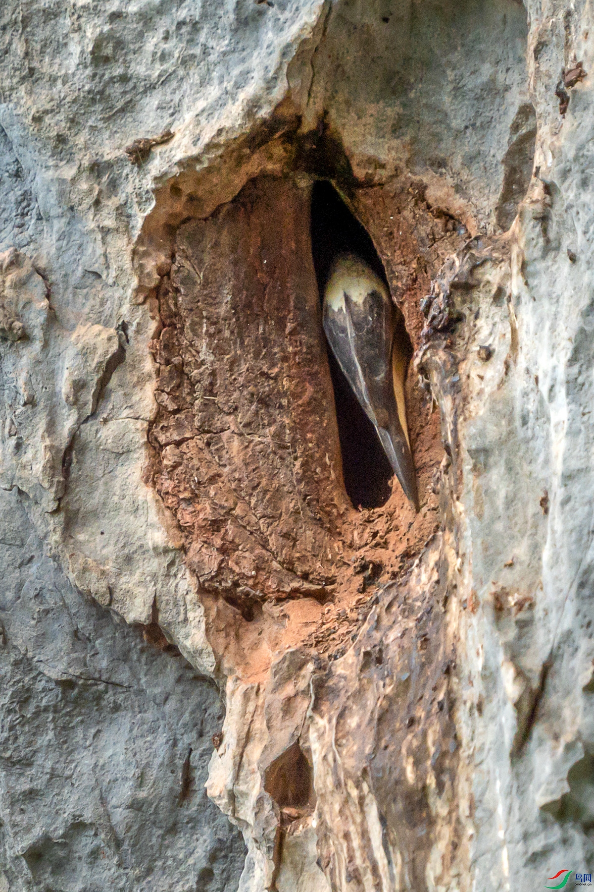 DSC08594 ���� 2.jpg