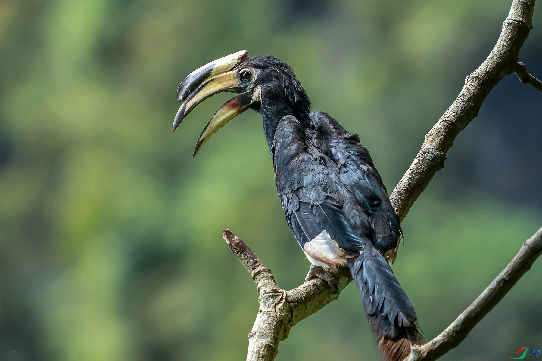 DSC08886 ���� 2.jpg